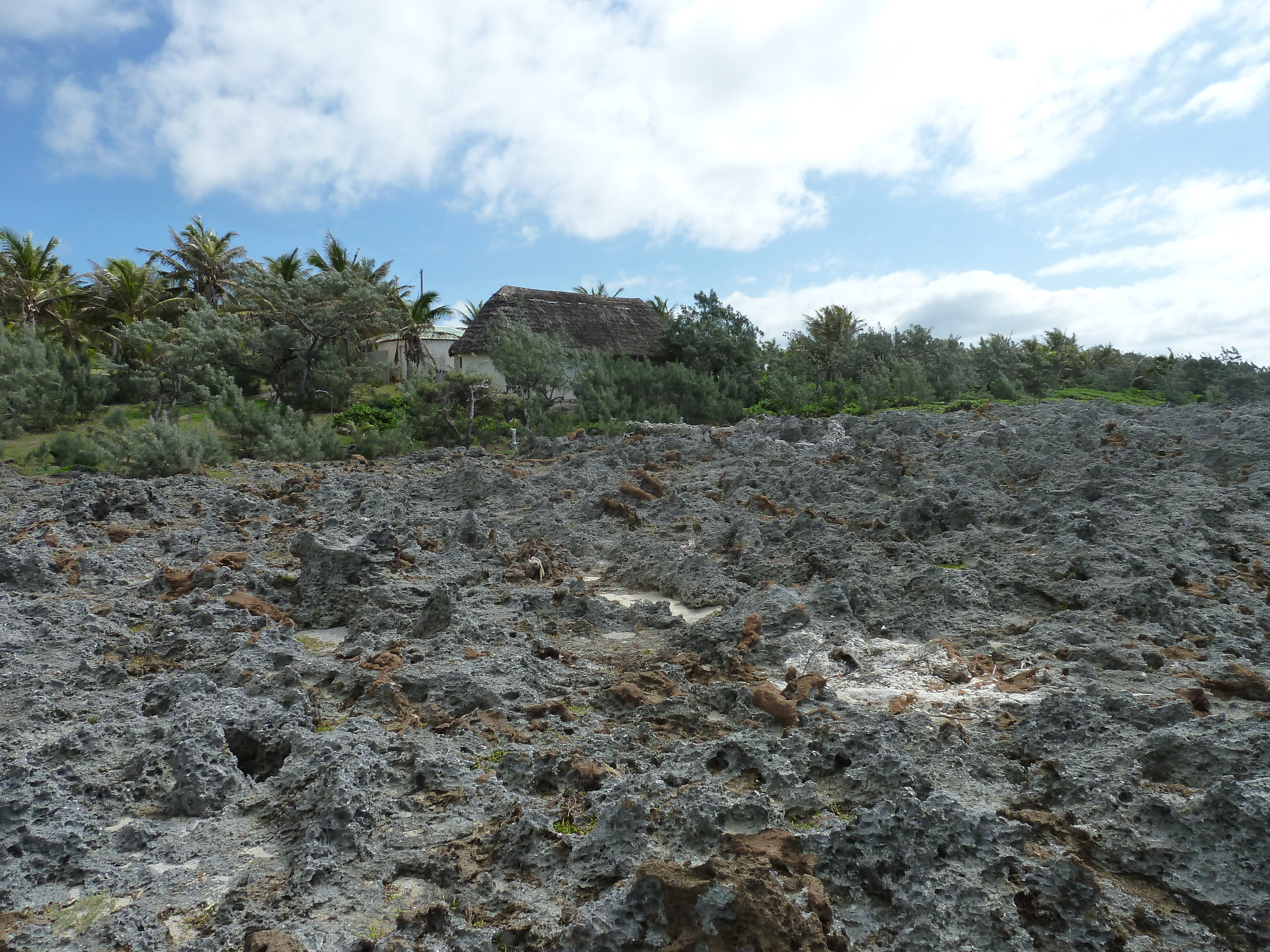 Picture New Caledonia Lifou Xodre 2010-05 24 - Around Xodre