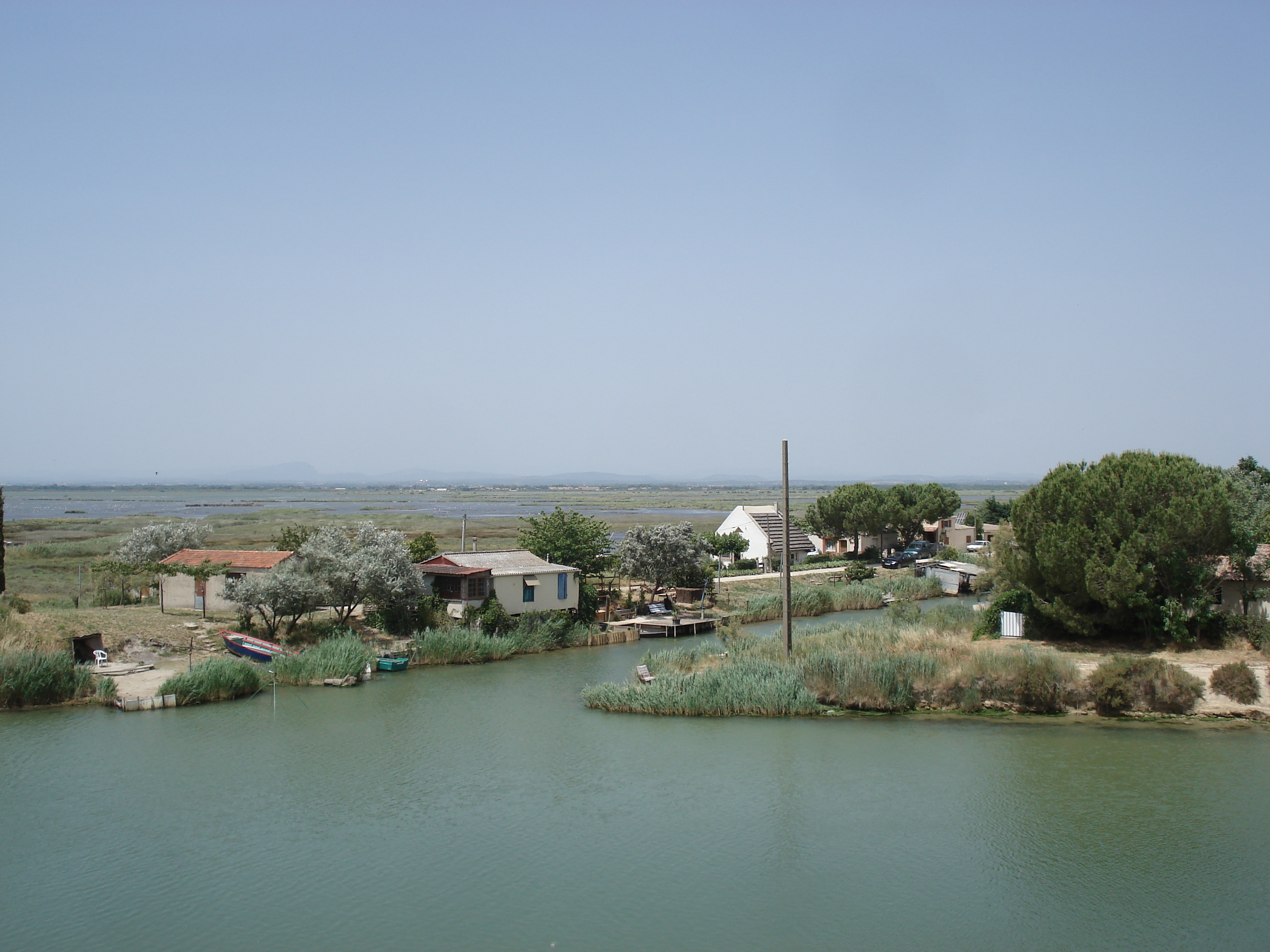 Picture France Camargue 2006-06 12 - Discovery Camargue