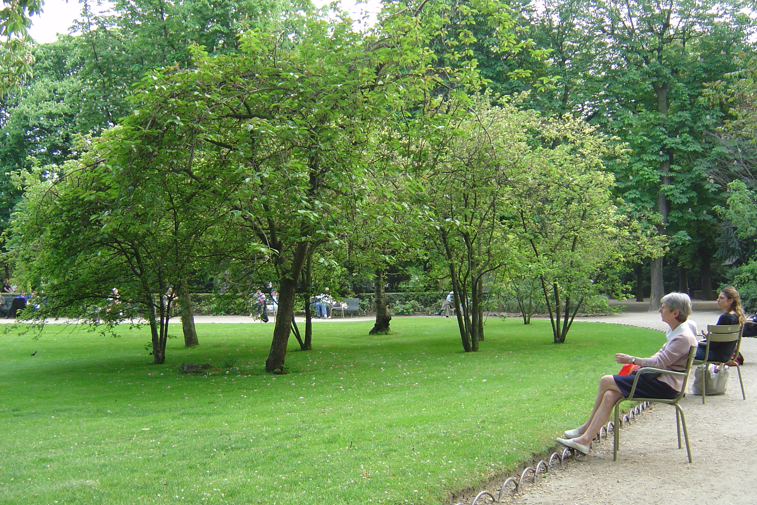 Picture France Paris Luxembourg Garden 2007-04 191 - Around Luxembourg Garden