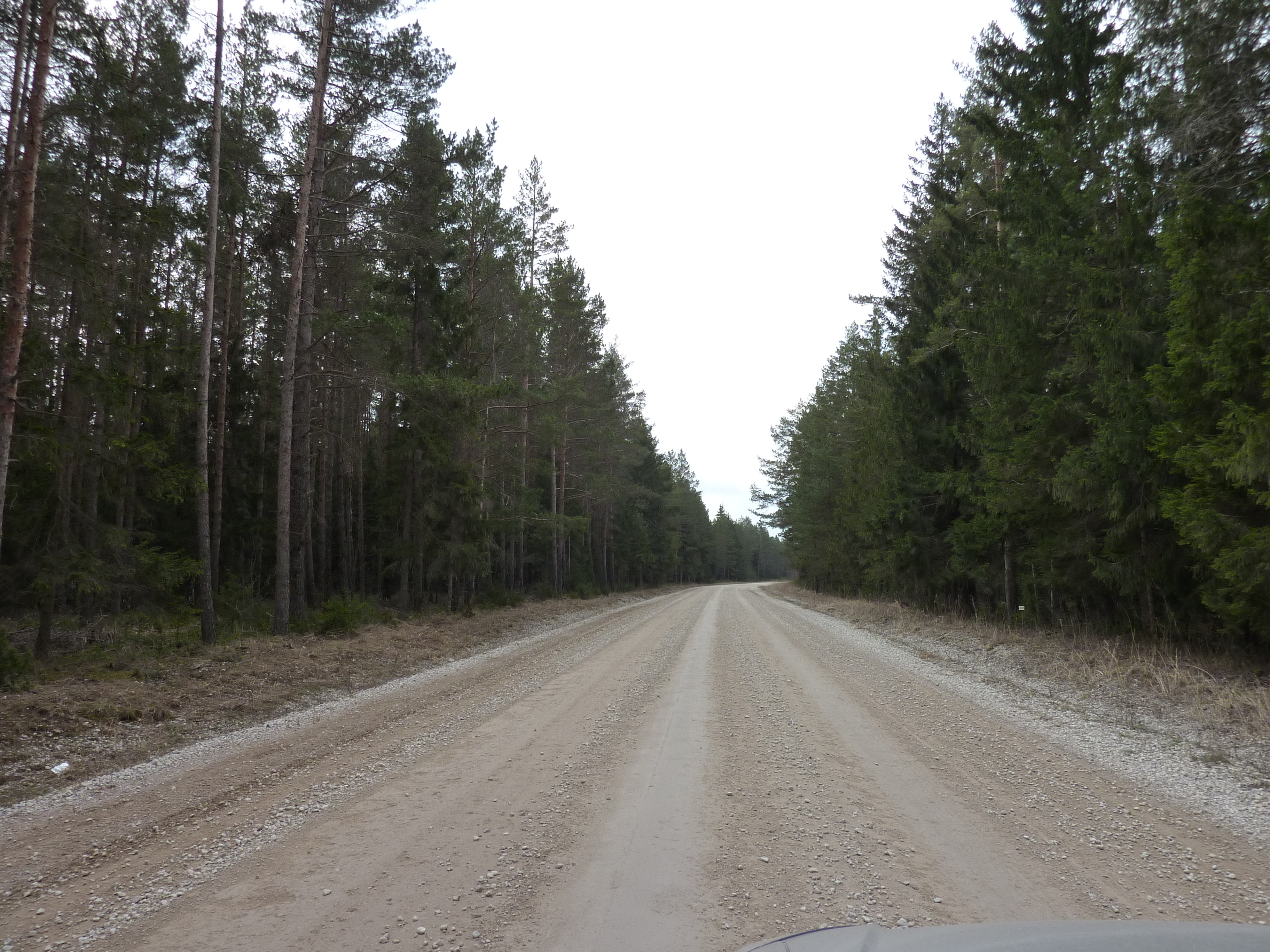 Picture Estonia Tallinn to Haapsalu road 2009-04 18 - Discovery Tallinn to Haapsalu road