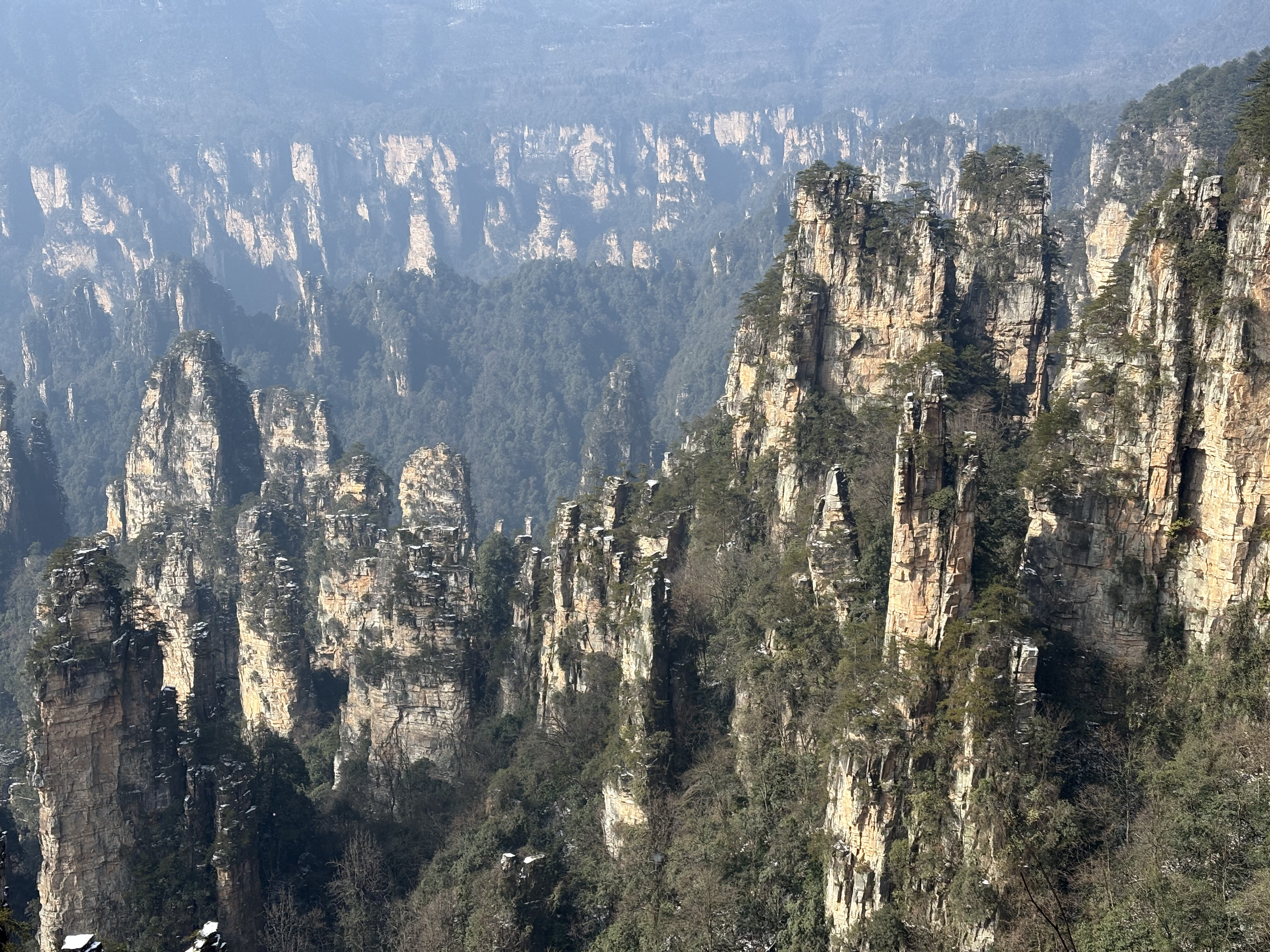 Picture China Zhangjiajie Tianzi Mountrain 2026-01 345 - Tour Tianzi Mountrain