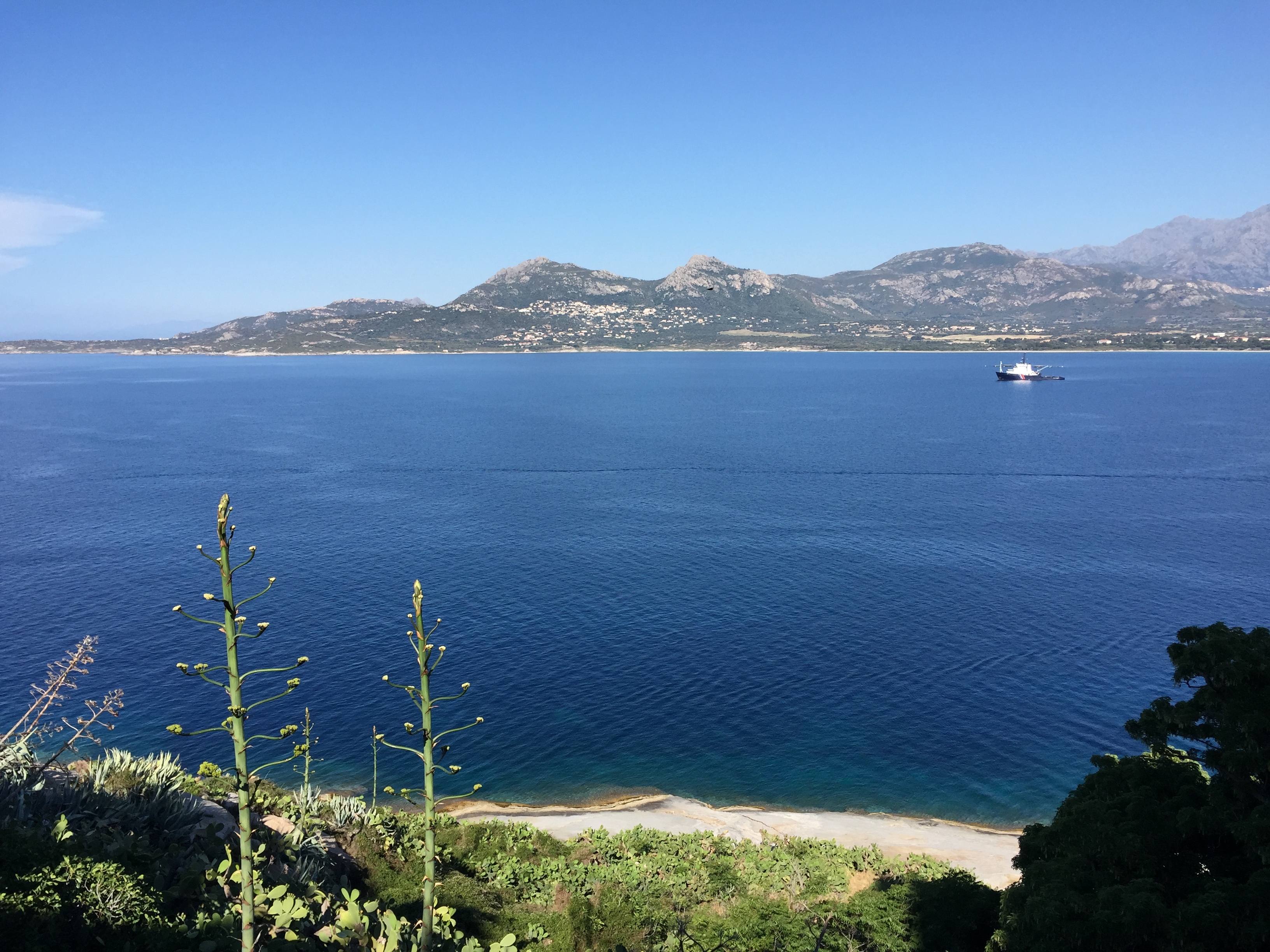 Picture France Corsica Calvi 2015-05 48 - Journey Calvi