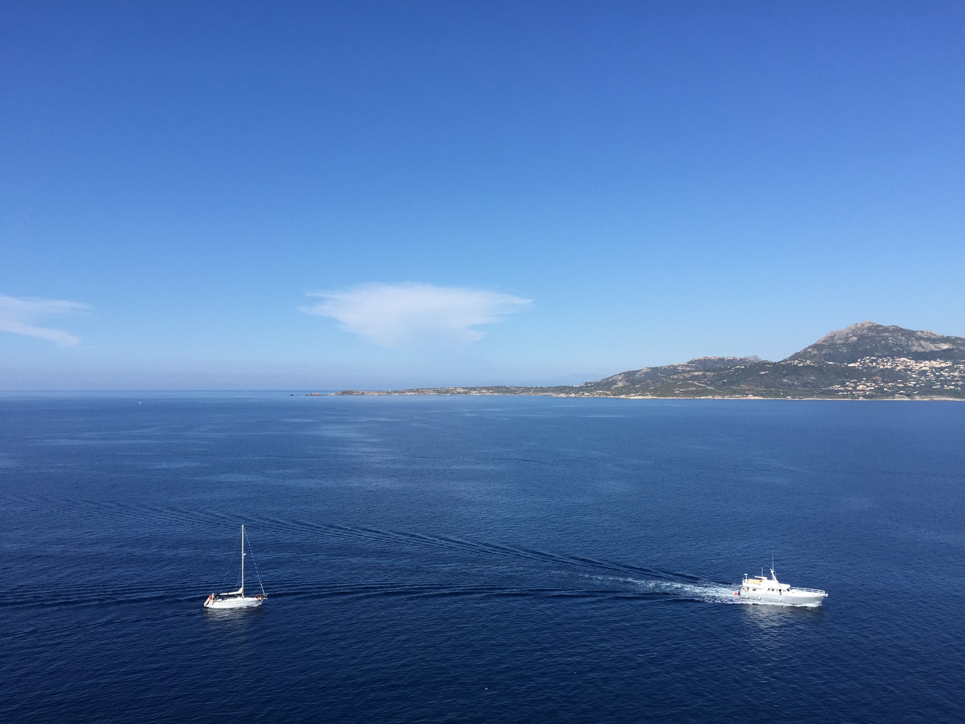 Picture France Corsica Calvi 2015-05 36 - Around Calvi