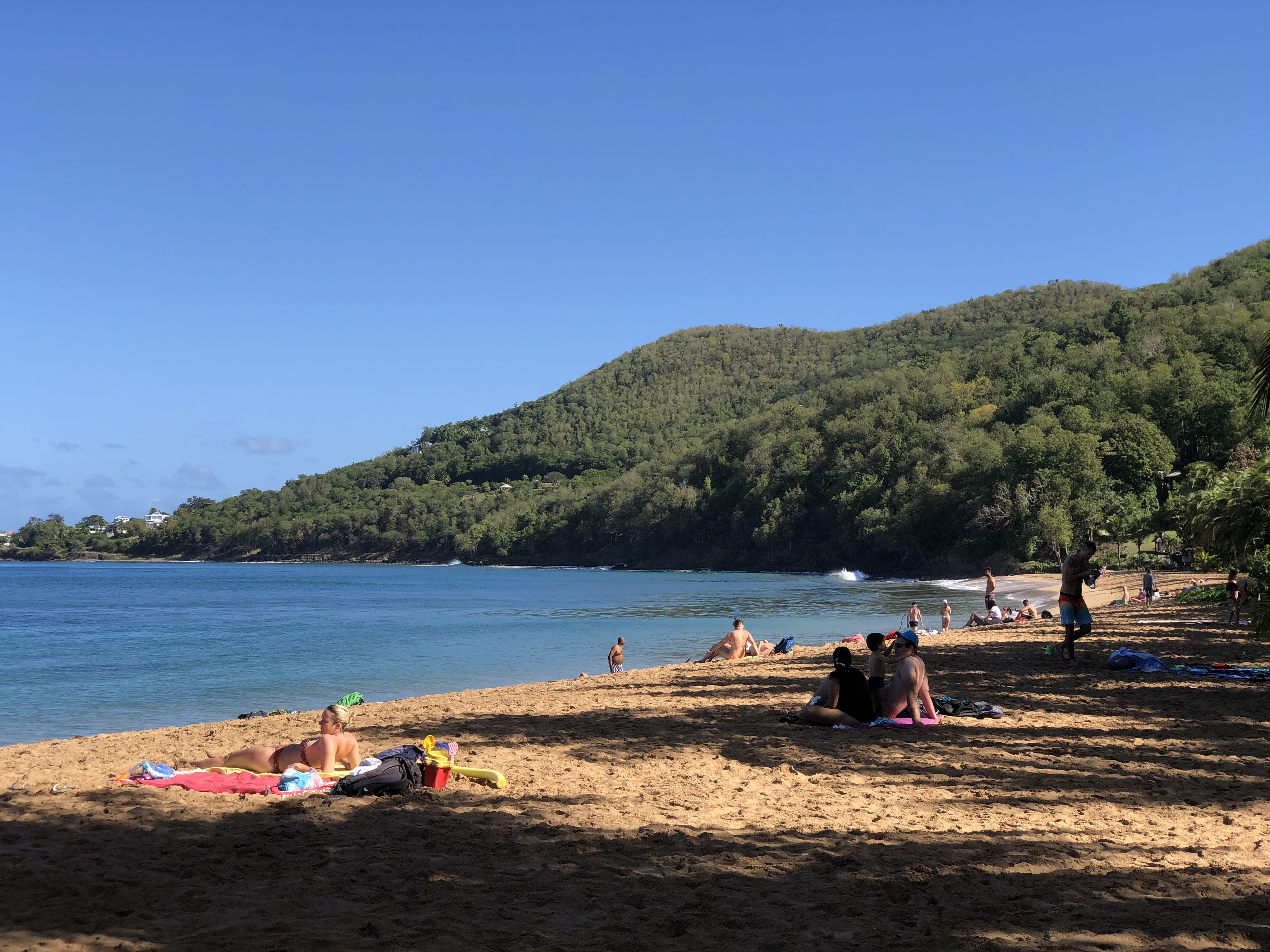 Picture Guadeloupe Grande Hanse Beach 2021-02 12 - Around Grande Hanse Beach