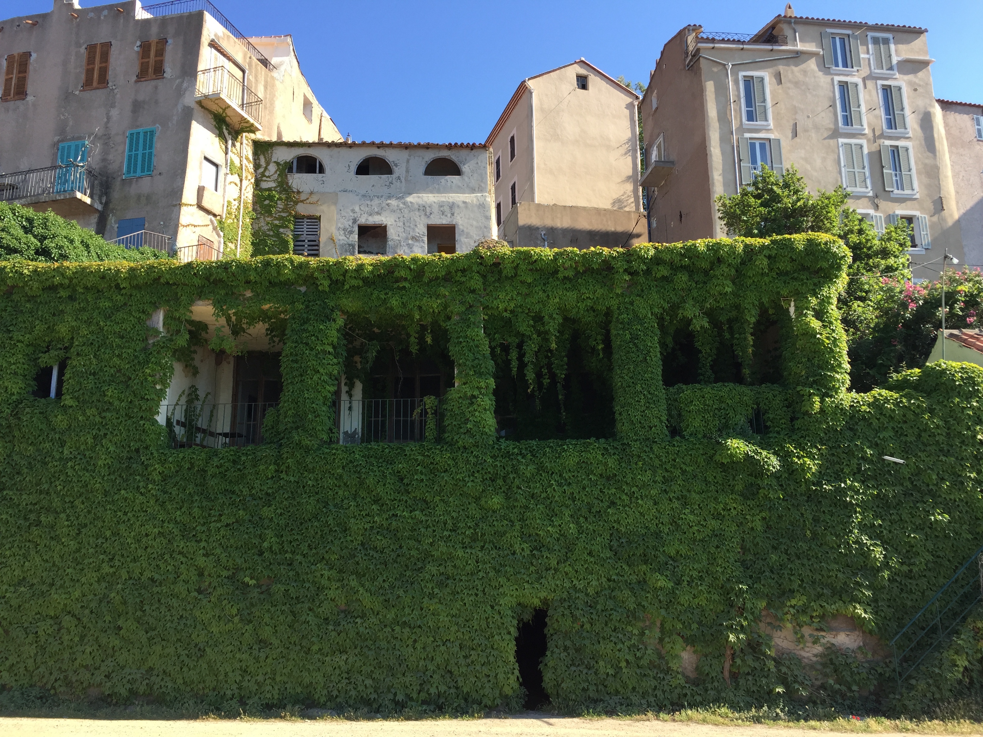 Picture France Corsica Calvi 2015-05 42 - Tour Calvi