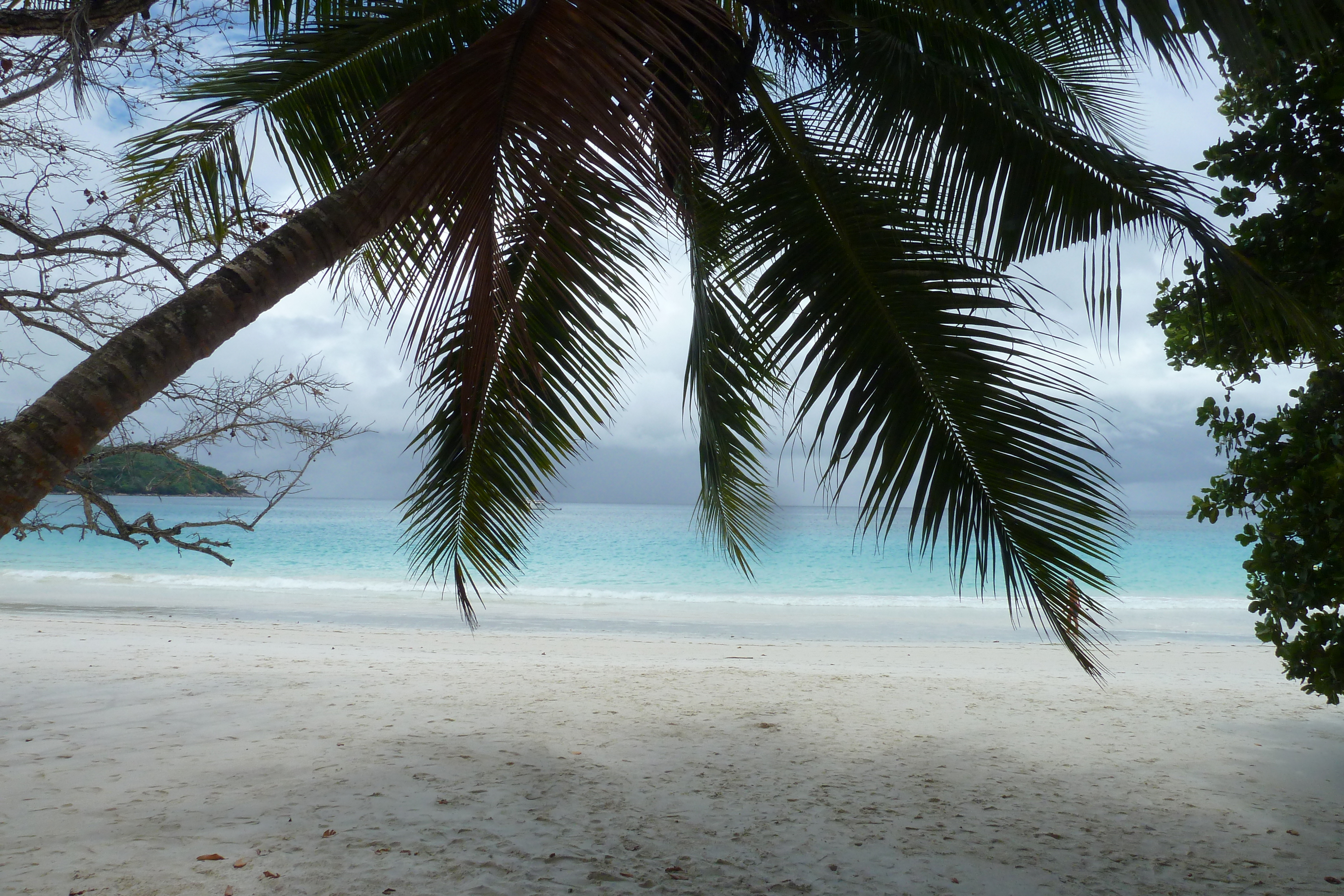 Picture Seychelles Praslin 2011-10 165 - Center Praslin