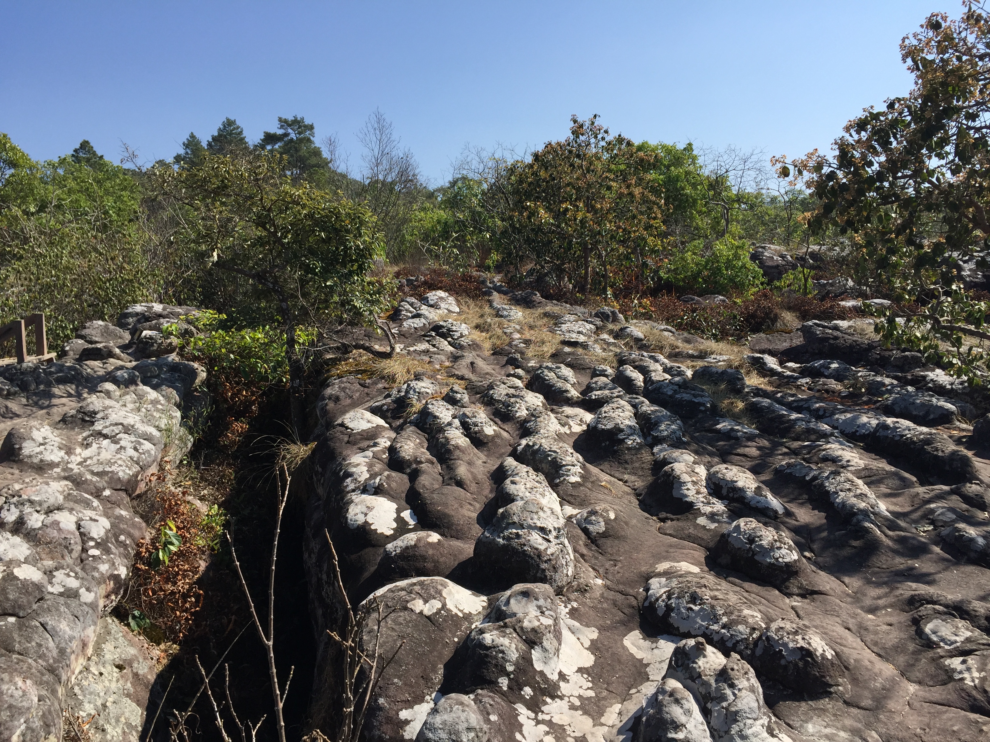 Picture Thailand Phu Hin Rong Kla National Park 2014-12 90 - History Phu Hin Rong Kla National Park