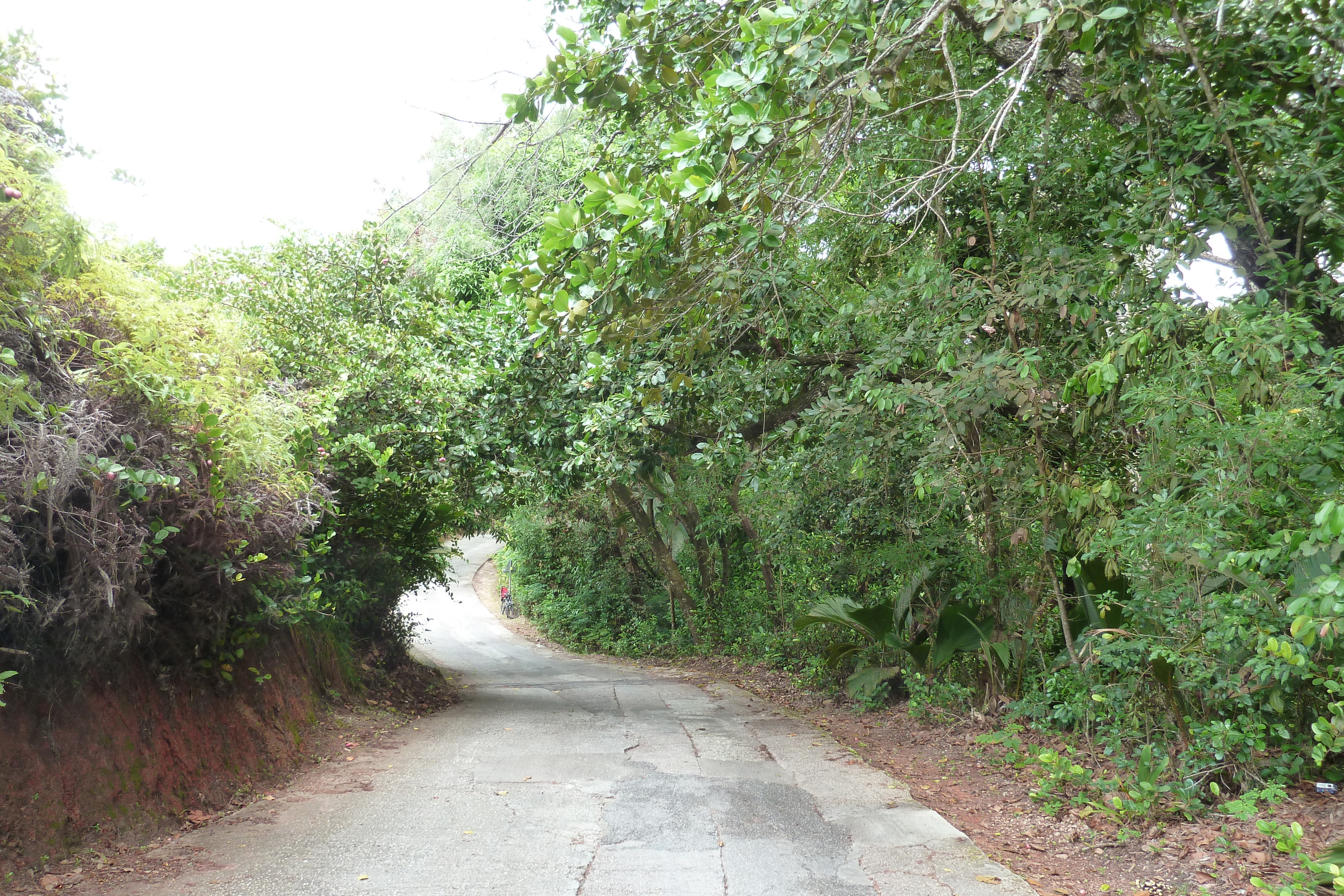 Picture Seychelles Praslin 2011-10 36 - History Praslin