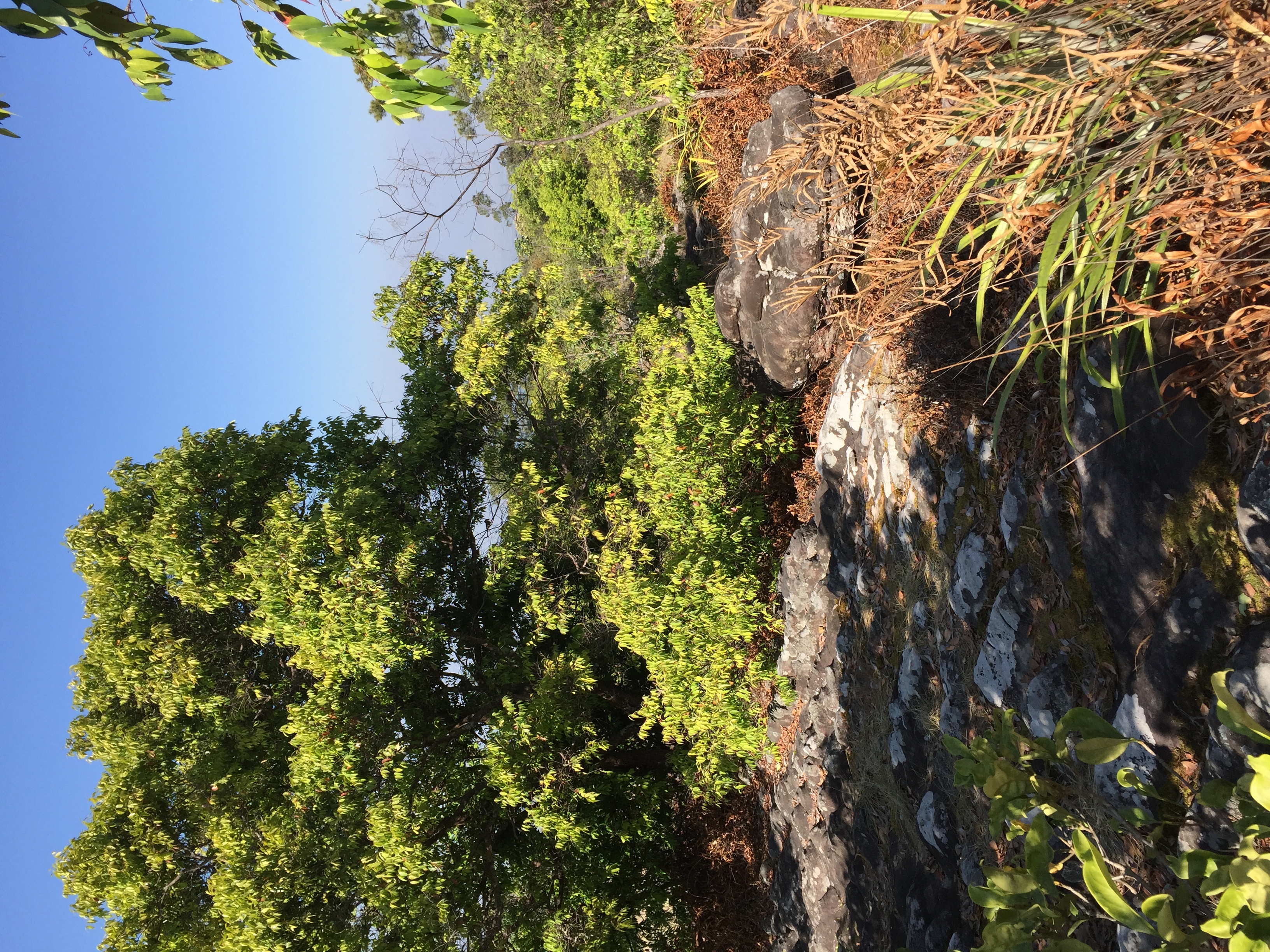 Picture Thailand Phu Hin Rong Kla National Park 2014-12 59 - History Phu Hin Rong Kla National Park