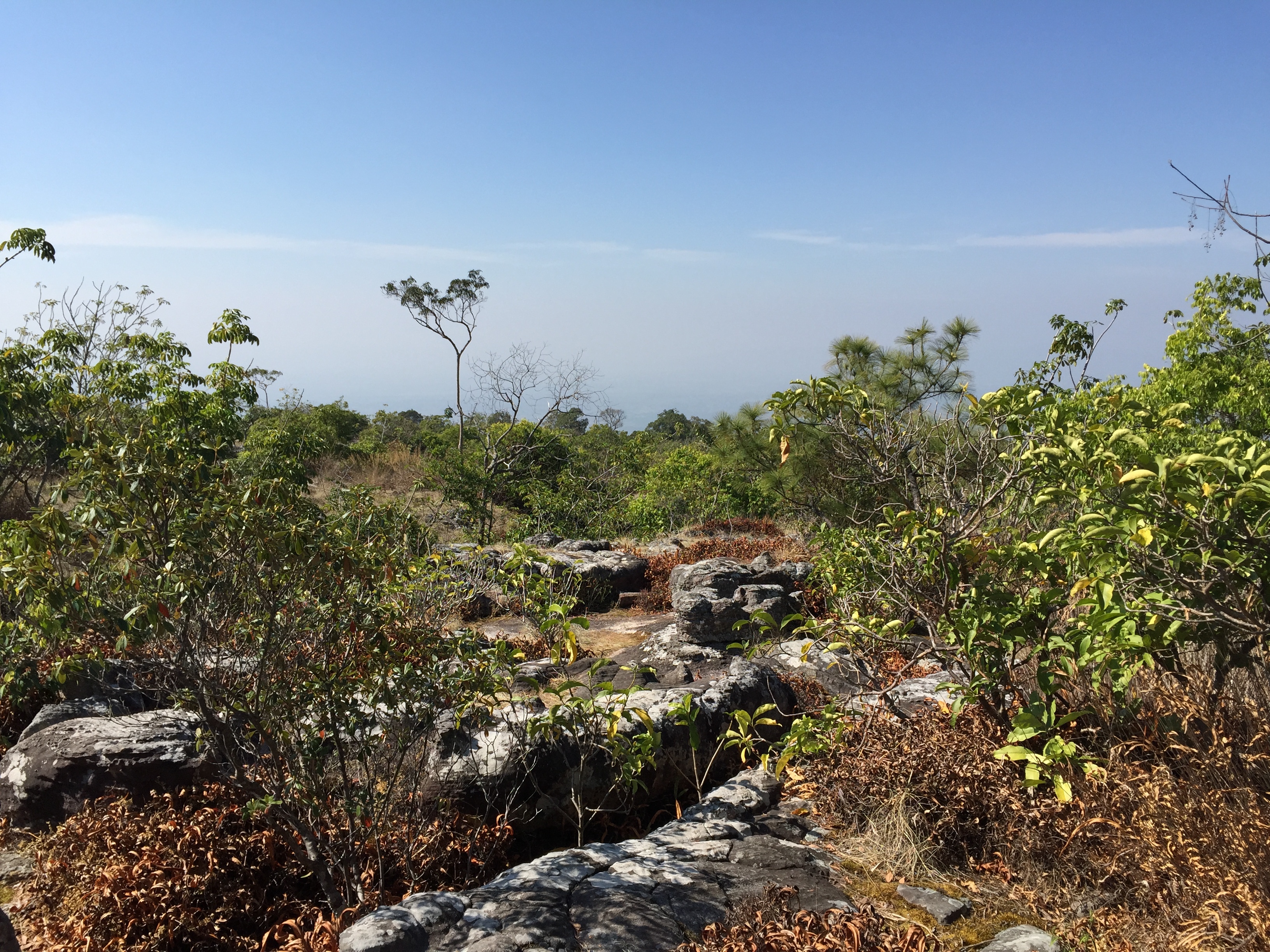 Picture Thailand Phu Hin Rong Kla National Park 2014-12 302 - History Phu Hin Rong Kla National Park