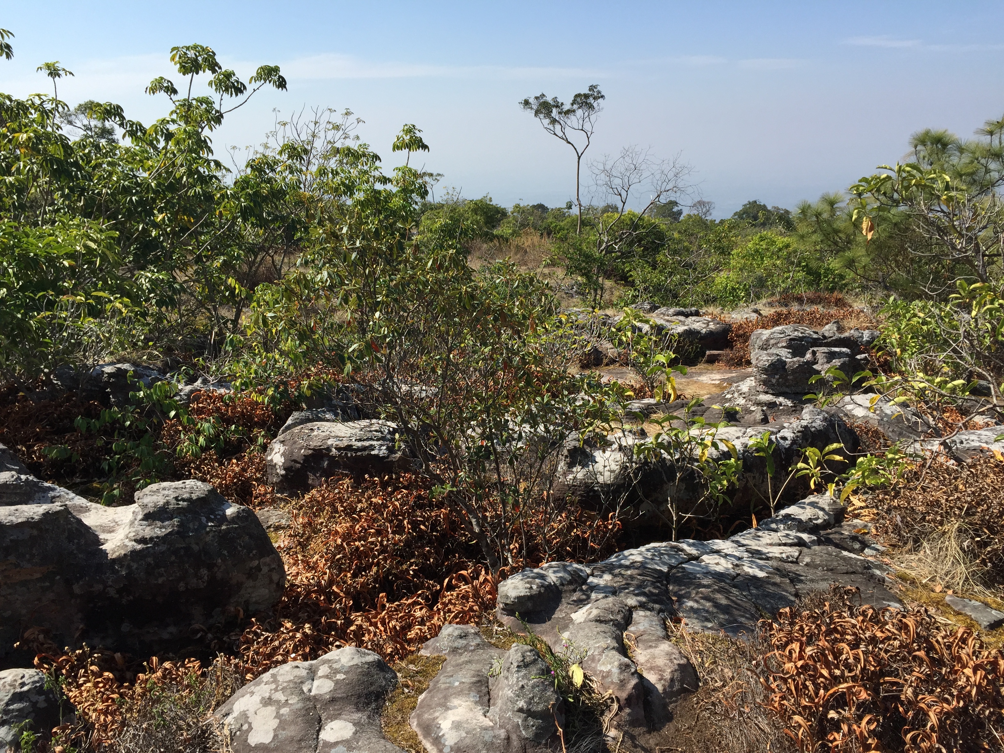 Picture Thailand Phu Hin Rong Kla National Park 2014-12 326 - Around Phu Hin Rong Kla National Park