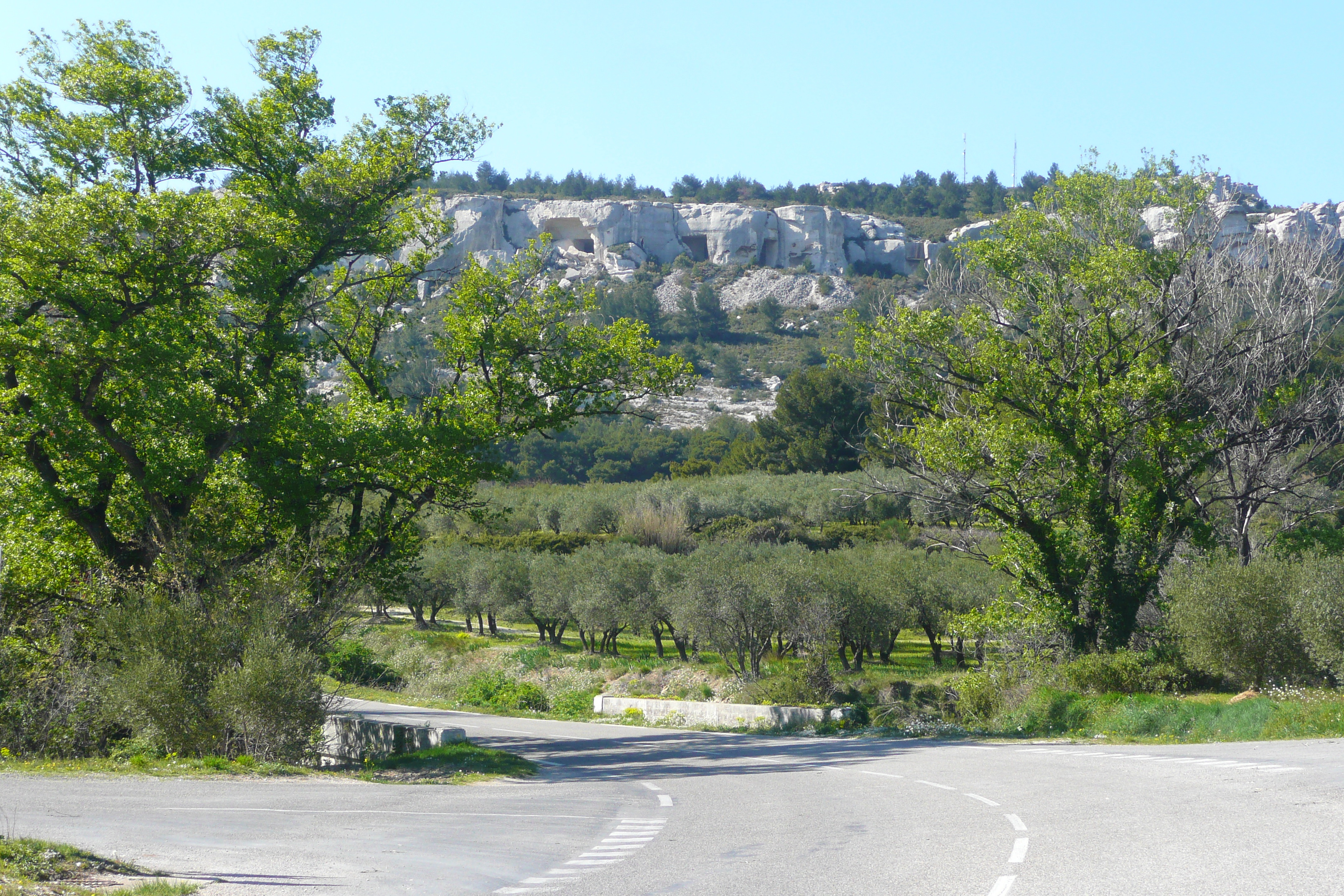 Picture France Provence Mouries to Baux de Provence road 2008-04 16 - Around Mouries to Baux de Provence road