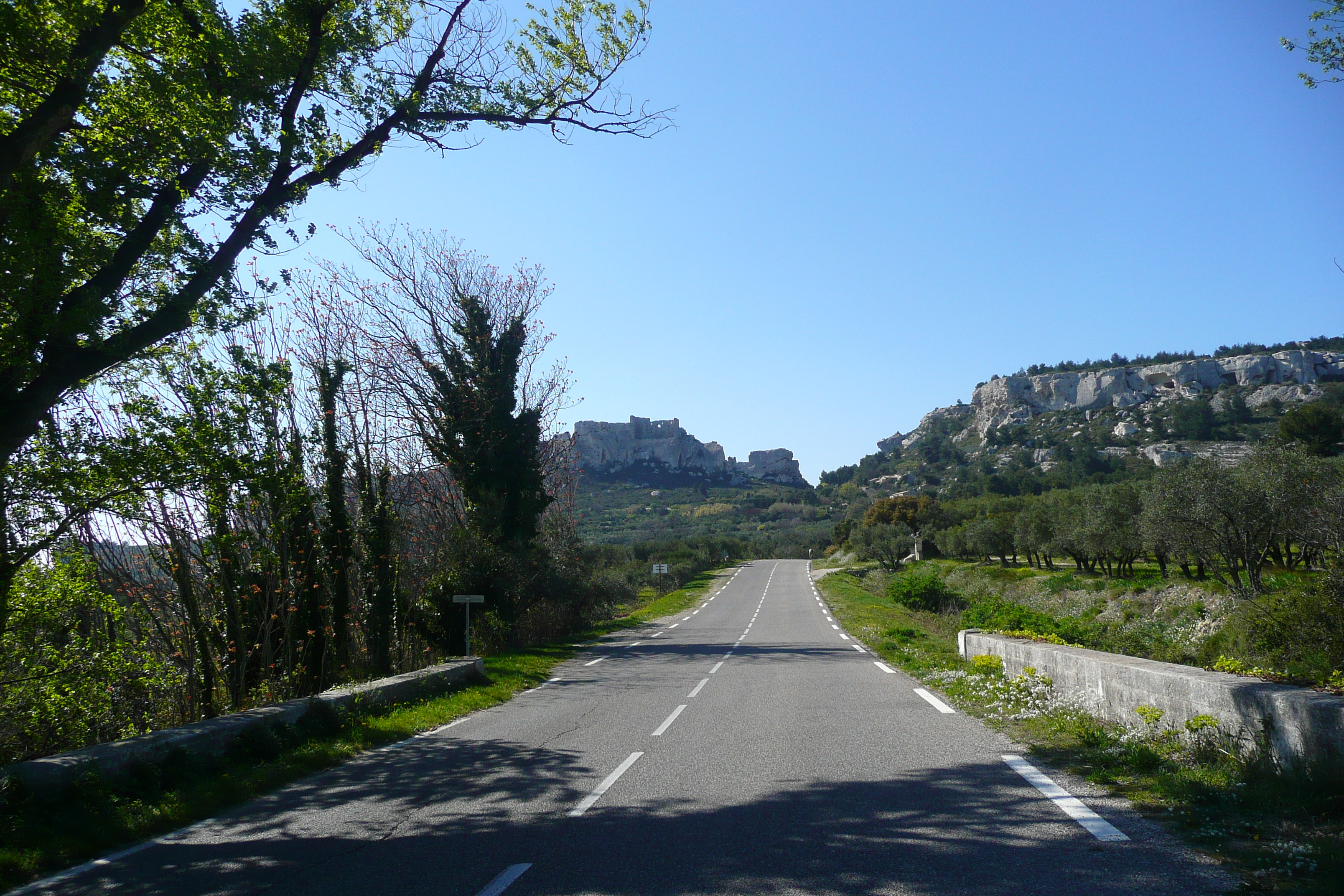 Picture France Provence Mouries to Baux de Provence road 2008-04 13 - Tour Mouries to Baux de Provence road