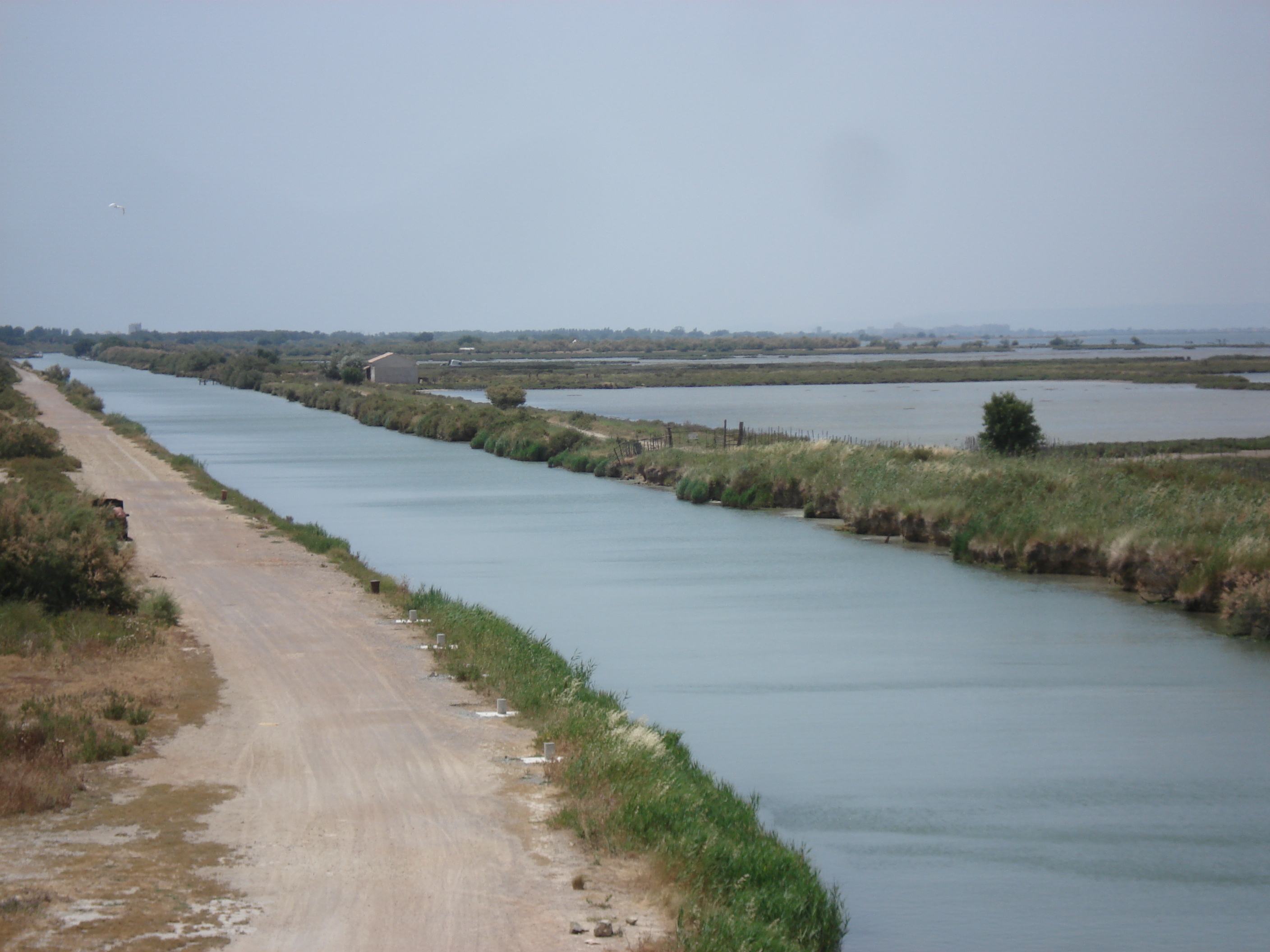 Picture France Camargue 2006-06 2 - Recreation Camargue