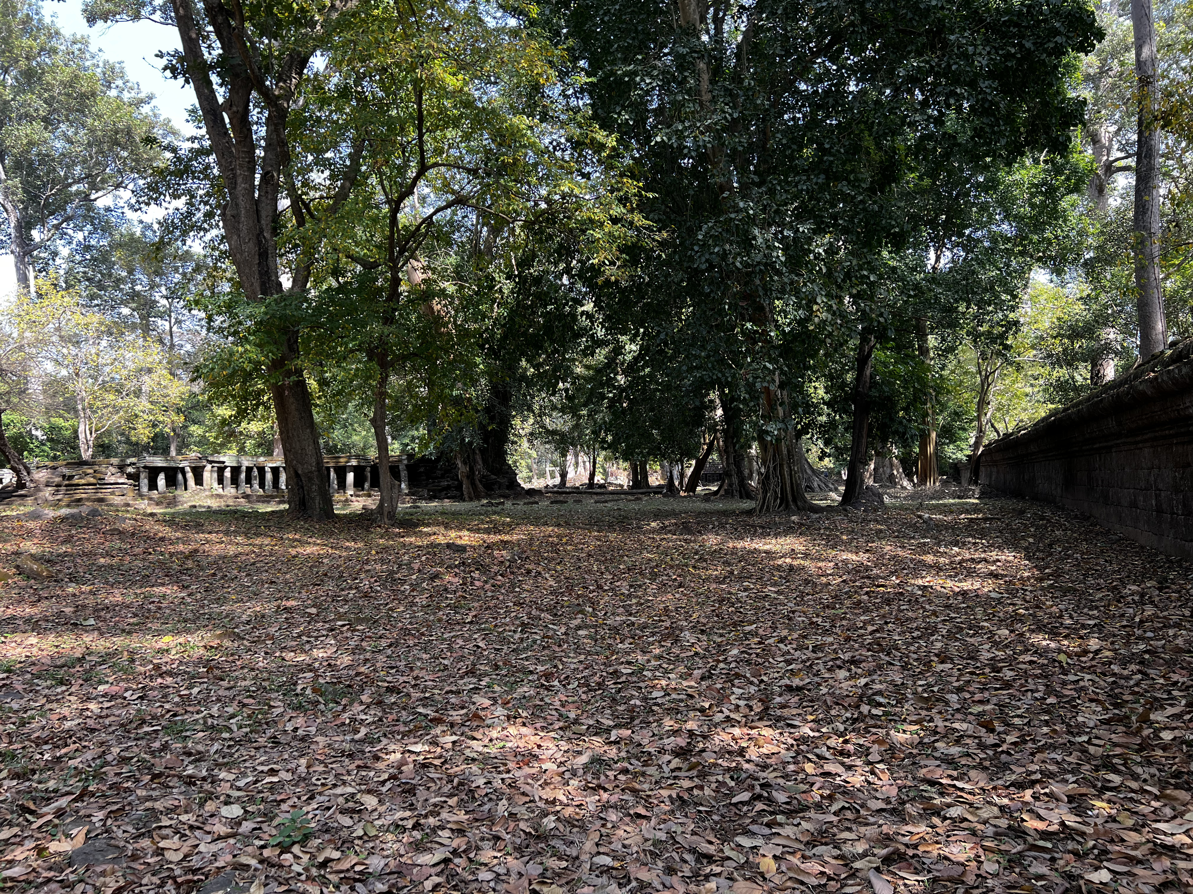 Picture Cambodia Siem Reap Angkor Thom 2023-01 32 - Discovery Angkor Thom