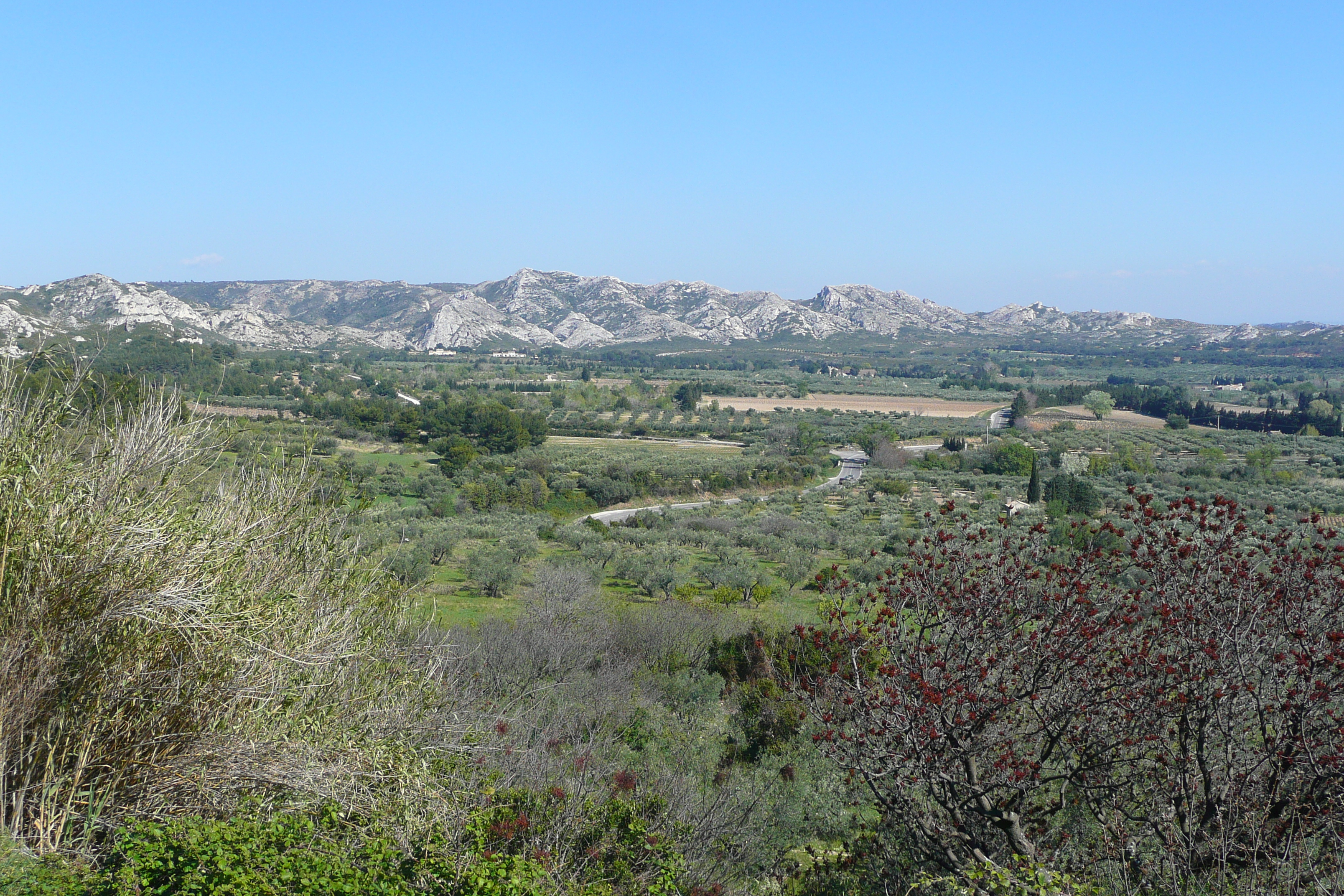 Picture France Provence Mouries to Baux de Provence road 2008-04 5 - Tours Mouries to Baux de Provence road