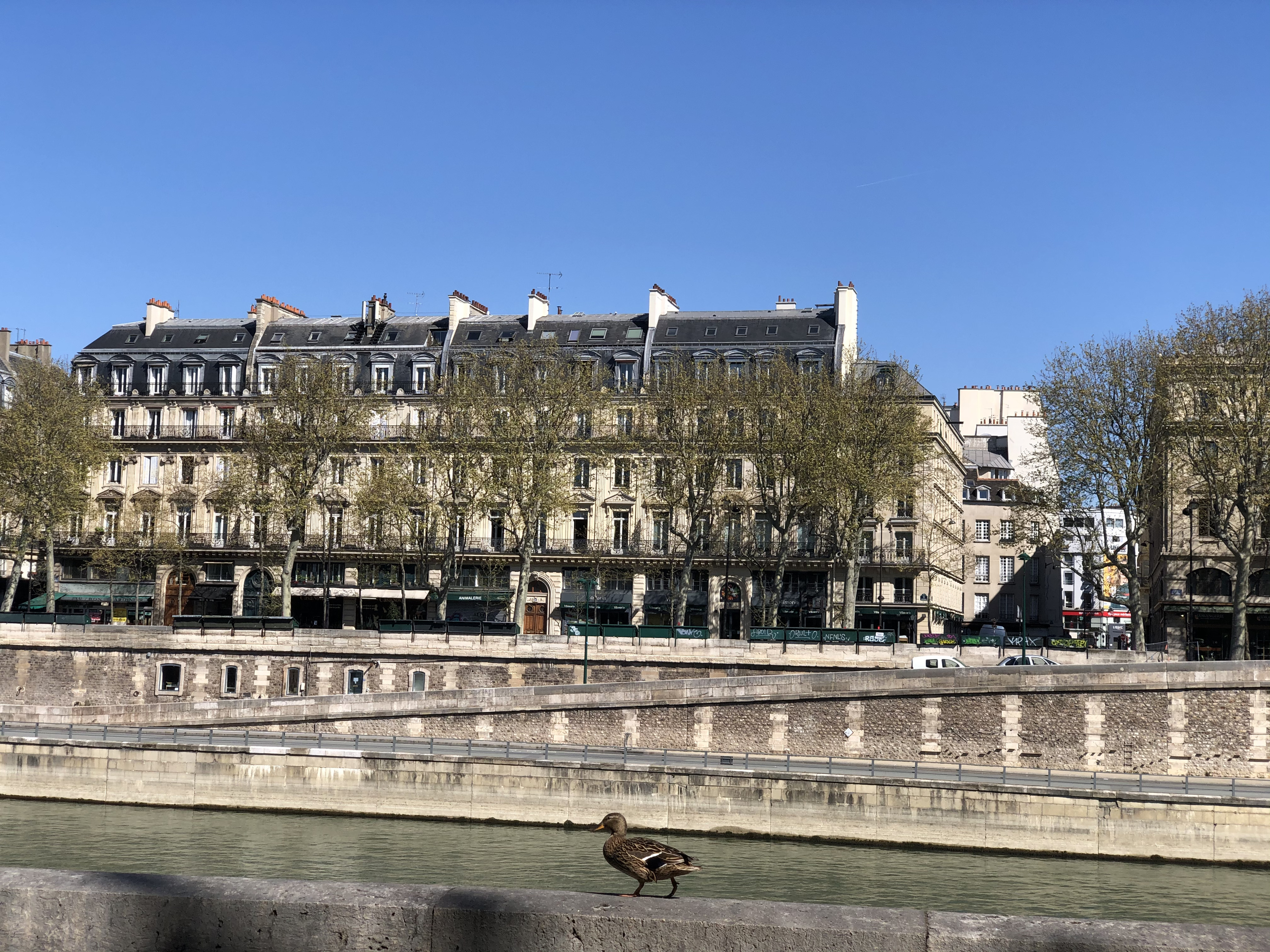 Picture France Paris lockdown 2020-04 295 - Center Paris lockdown