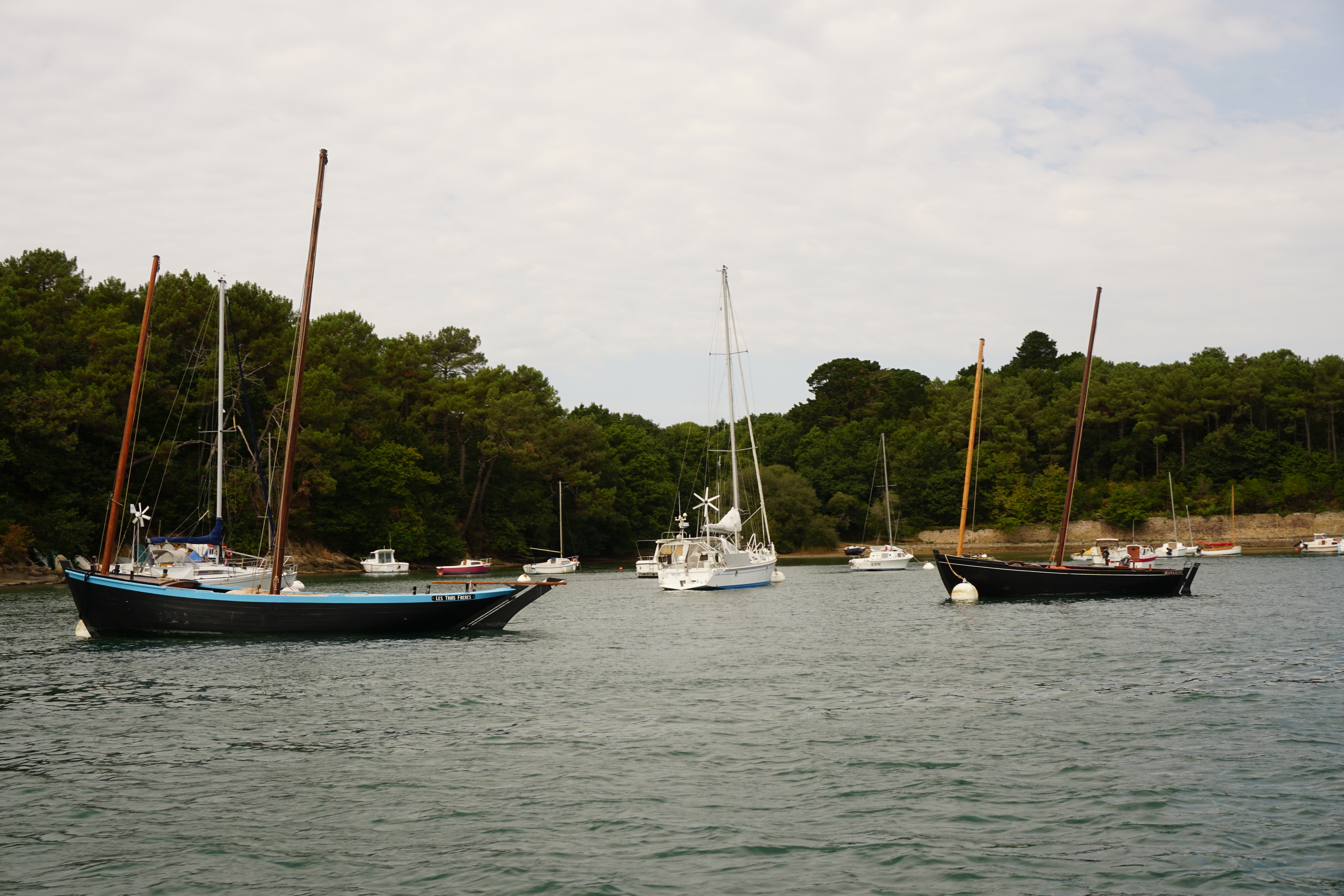 Picture France Golfe du Morbihan 2016-08 77 - Discovery Golfe du Morbihan