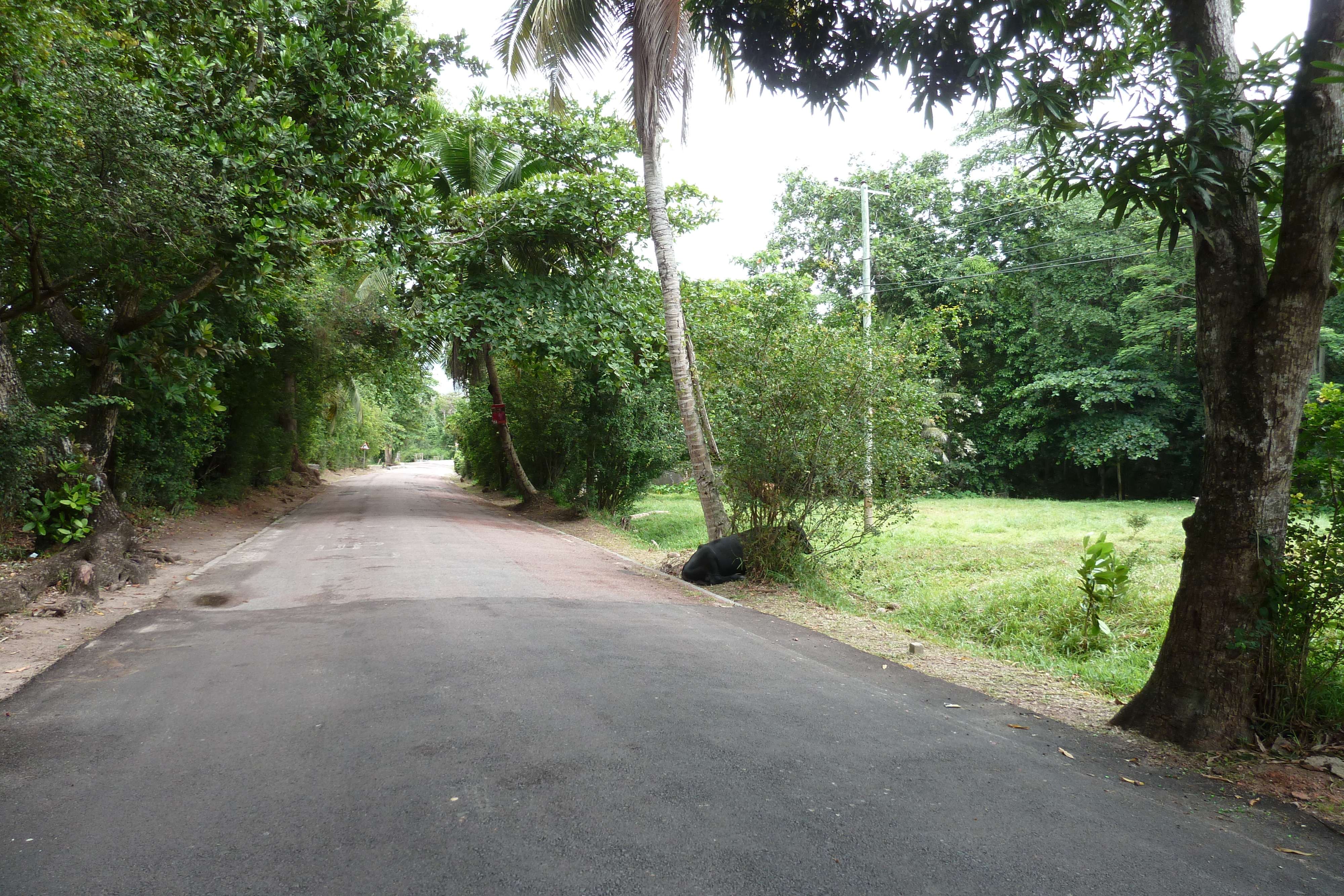 Picture Seychelles Praslin 2011-10 106 - Tour Praslin