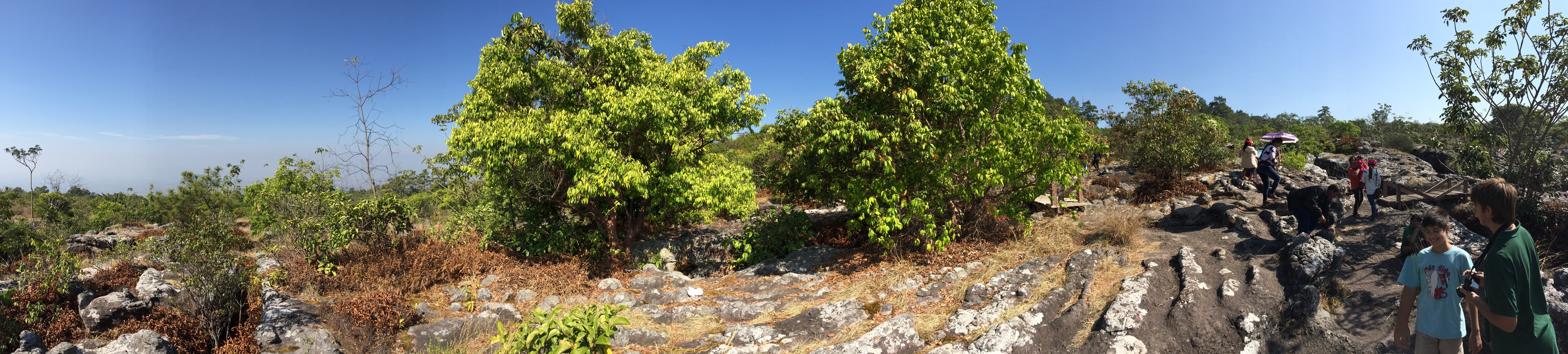 Picture Thailand Phu Hin Rong Kla National Park 2014-12 401 - Center Phu Hin Rong Kla National Park