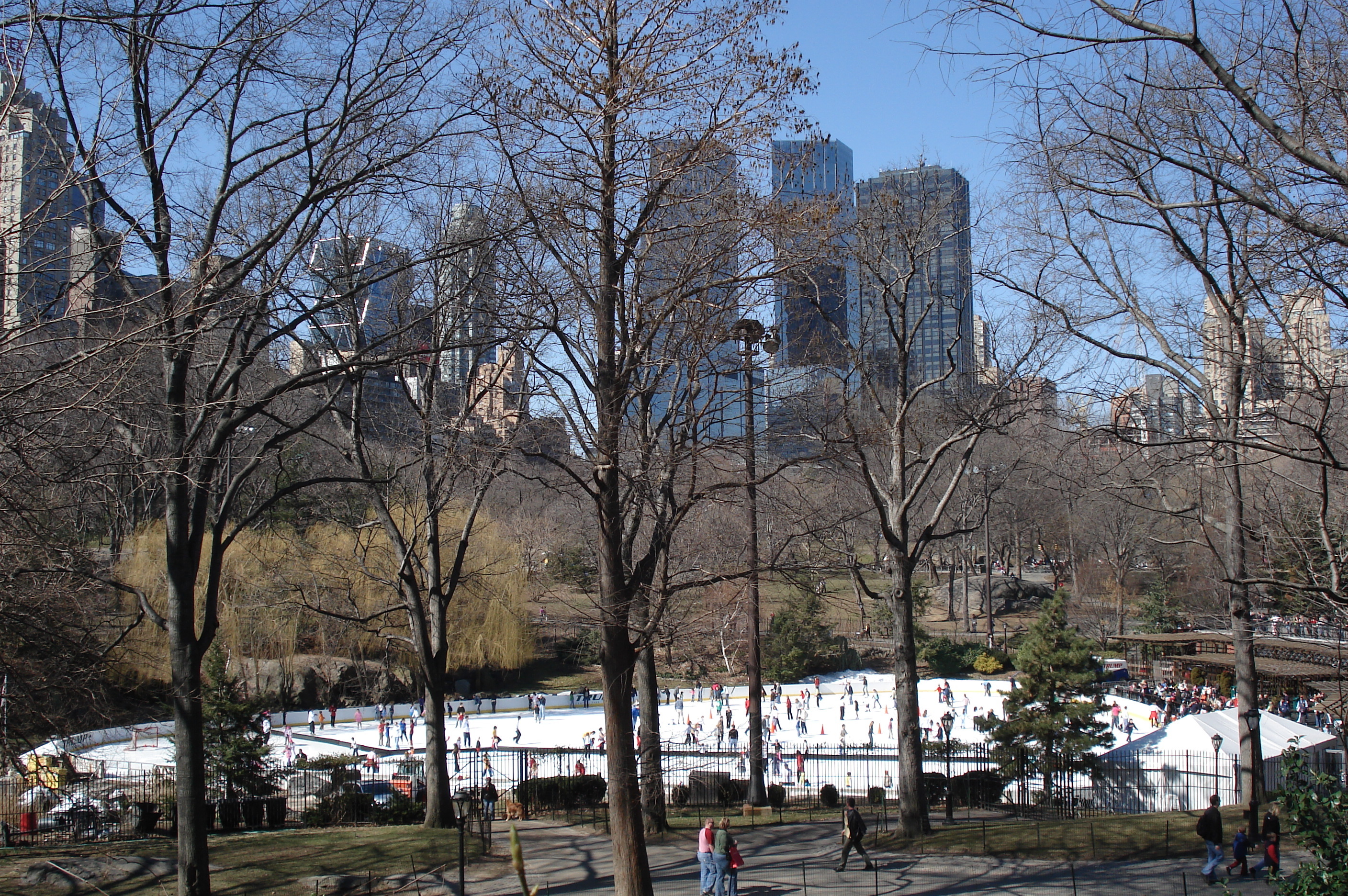 Picture United States New York Central Park 2006-03 73 - Journey Central Park