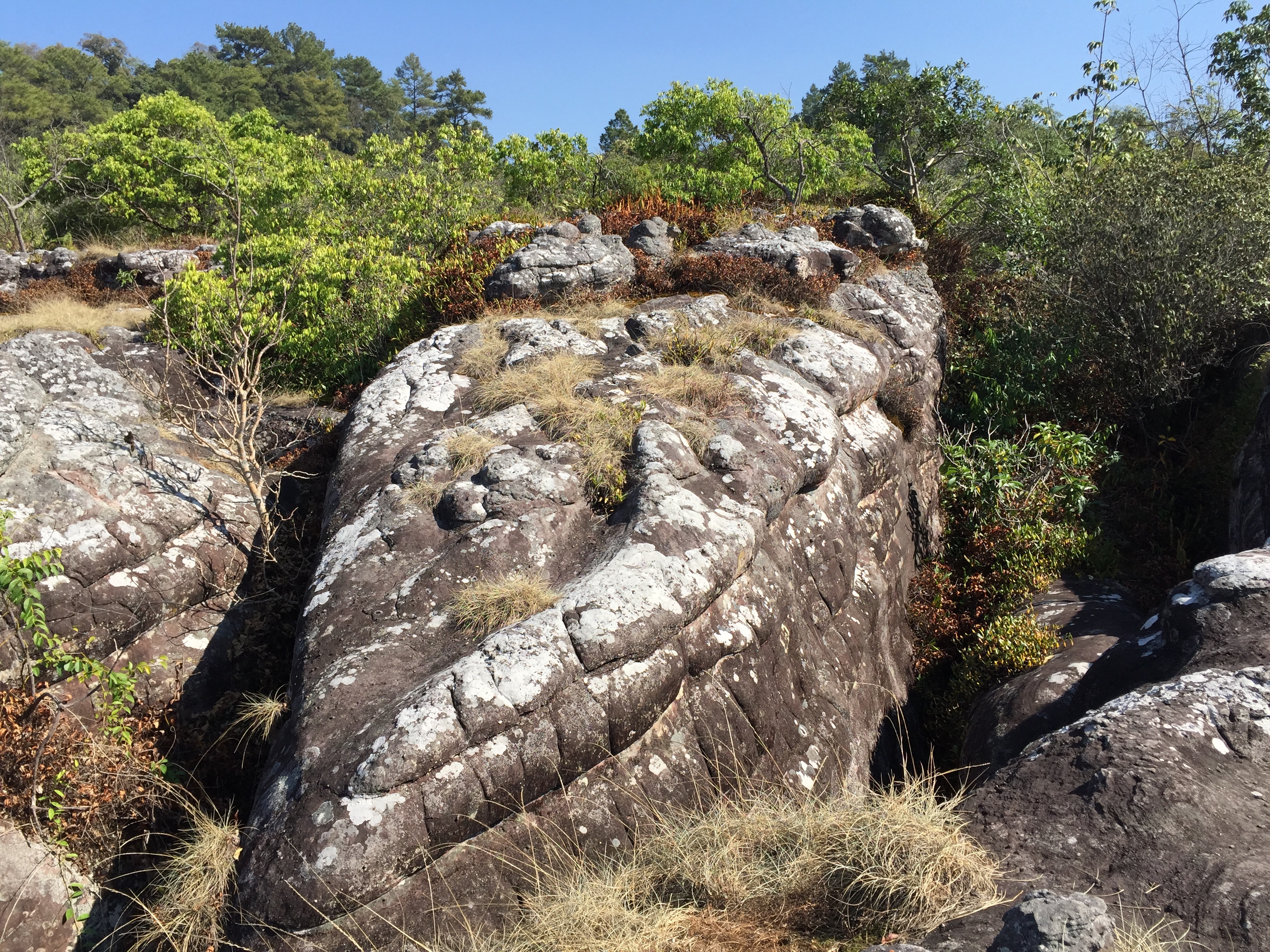 Picture Thailand Phu Hin Rong Kla National Park 2014-12 298 - Tours Phu Hin Rong Kla National Park