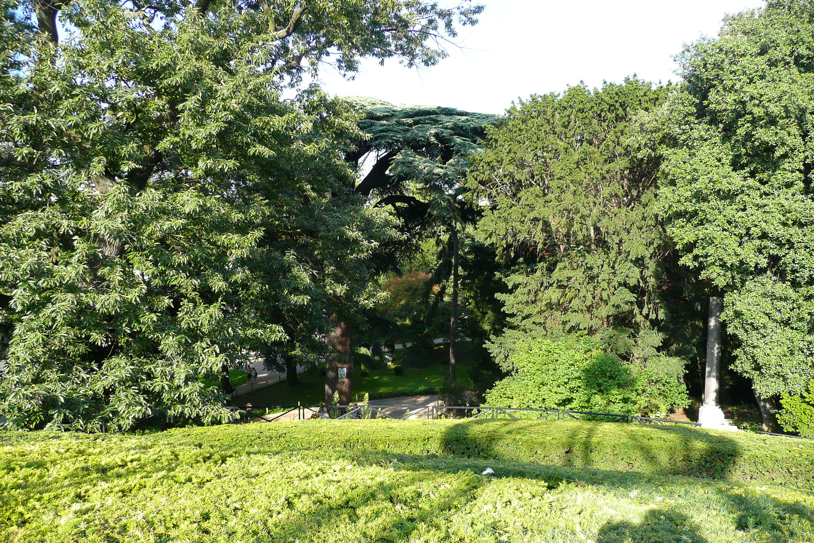 Picture France Paris Jardin des Plantes 2007-08 199 - Tours Jardin des Plantes