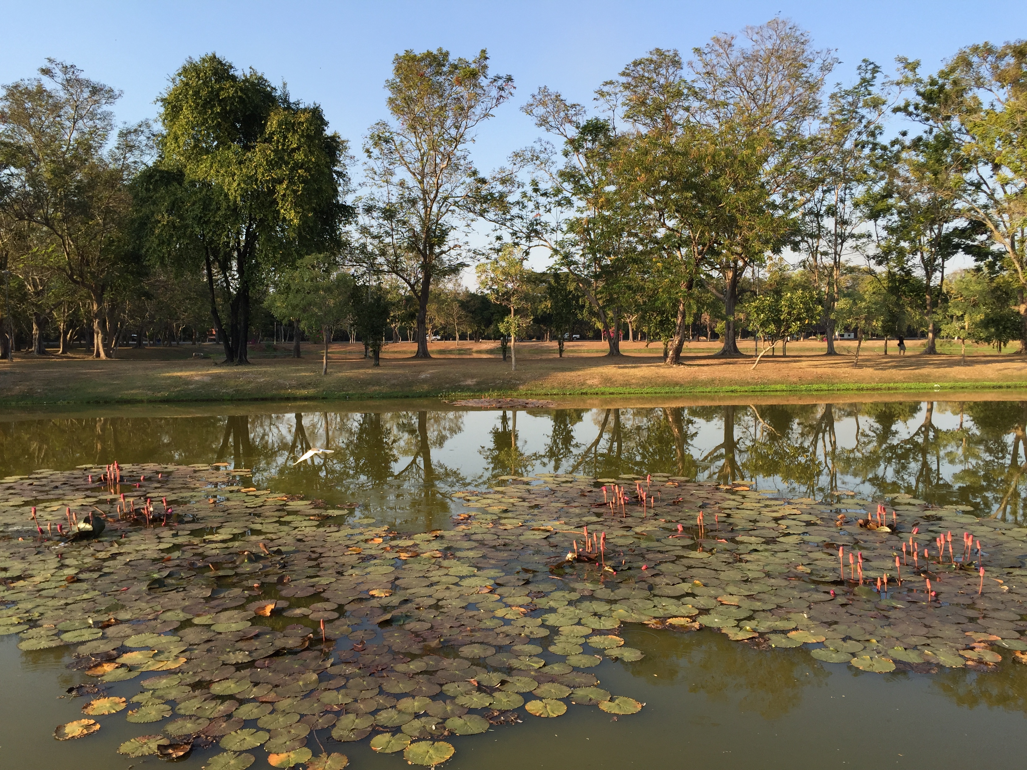 Picture Thailand Sukhothai 2014-12 73 - Recreation Sukhothai