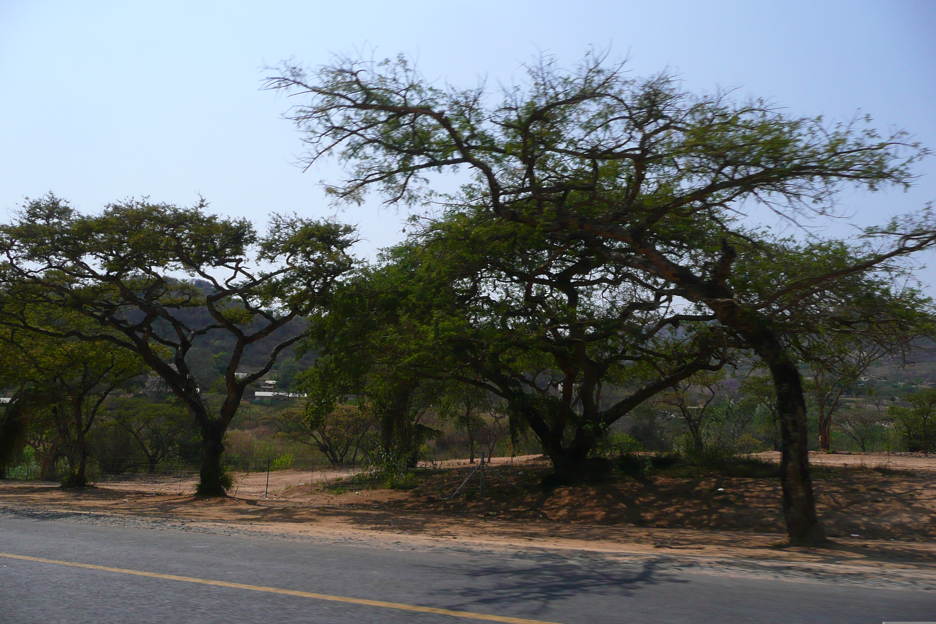 Picture South Africa Nelspruit 2008-09 44 - Journey Nelspruit