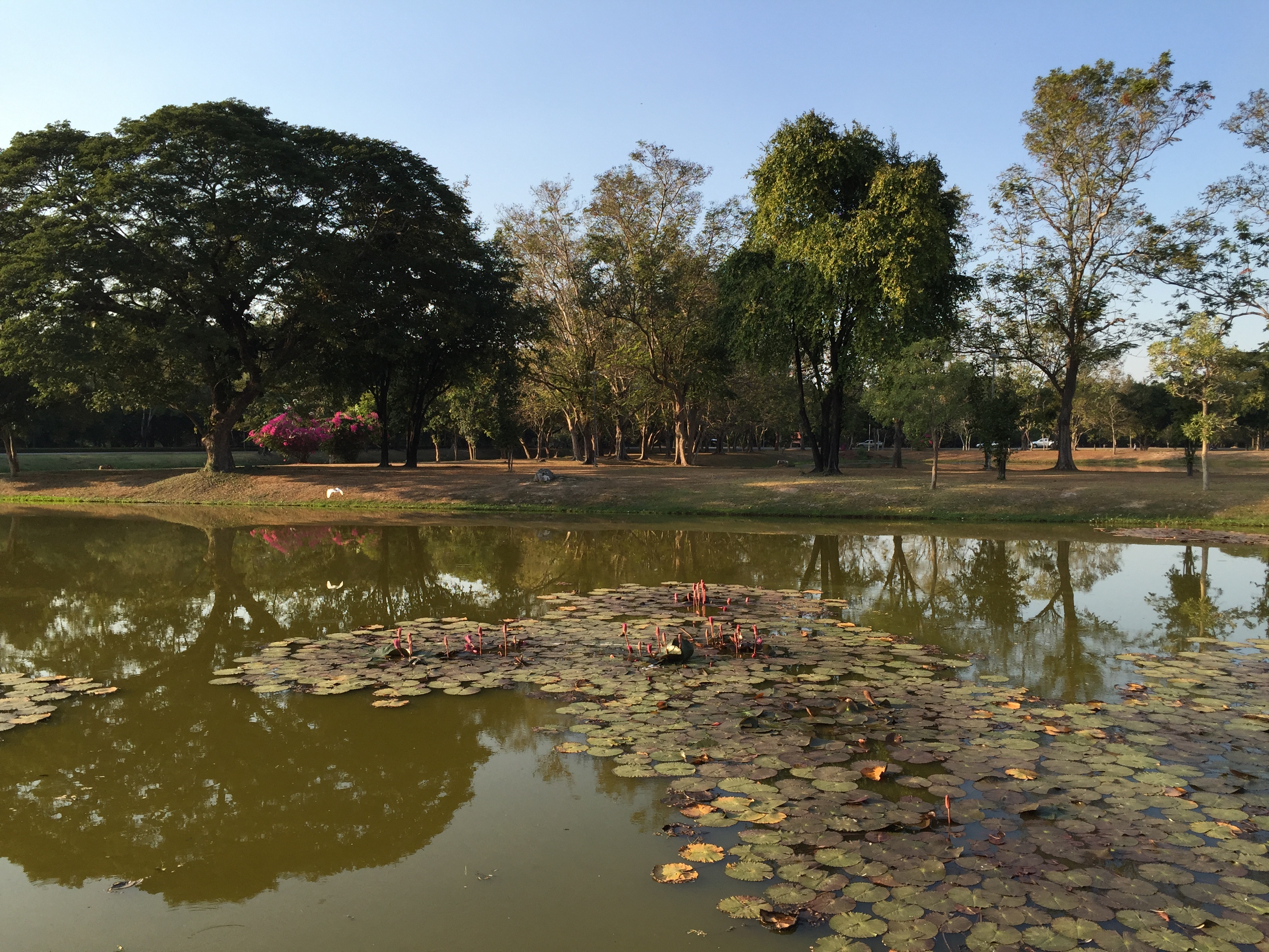 Picture Thailand Sukhothai 2014-12 20 - Recreation Sukhothai