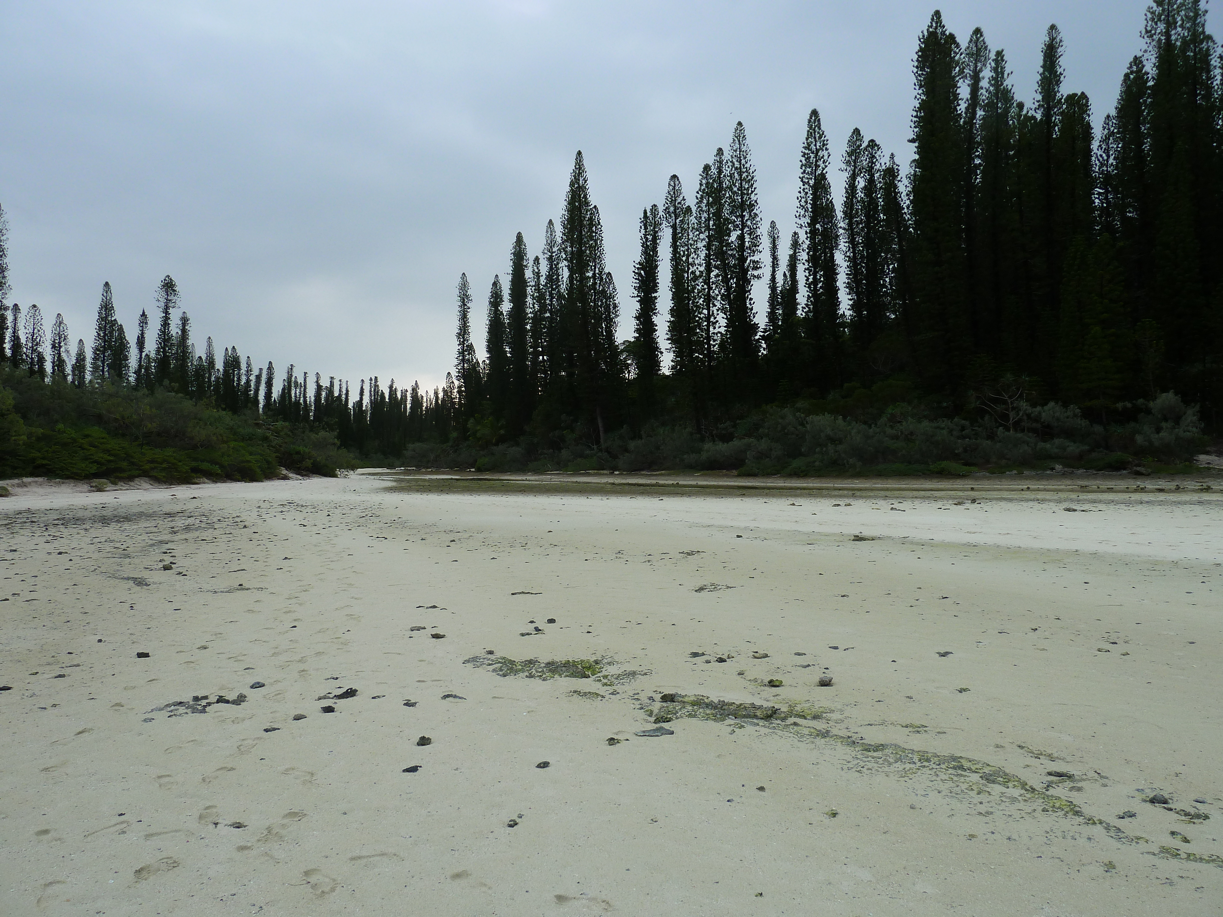 Picture New Caledonia Ile des pins Oro Bay 2010-05 98 - Journey Oro Bay