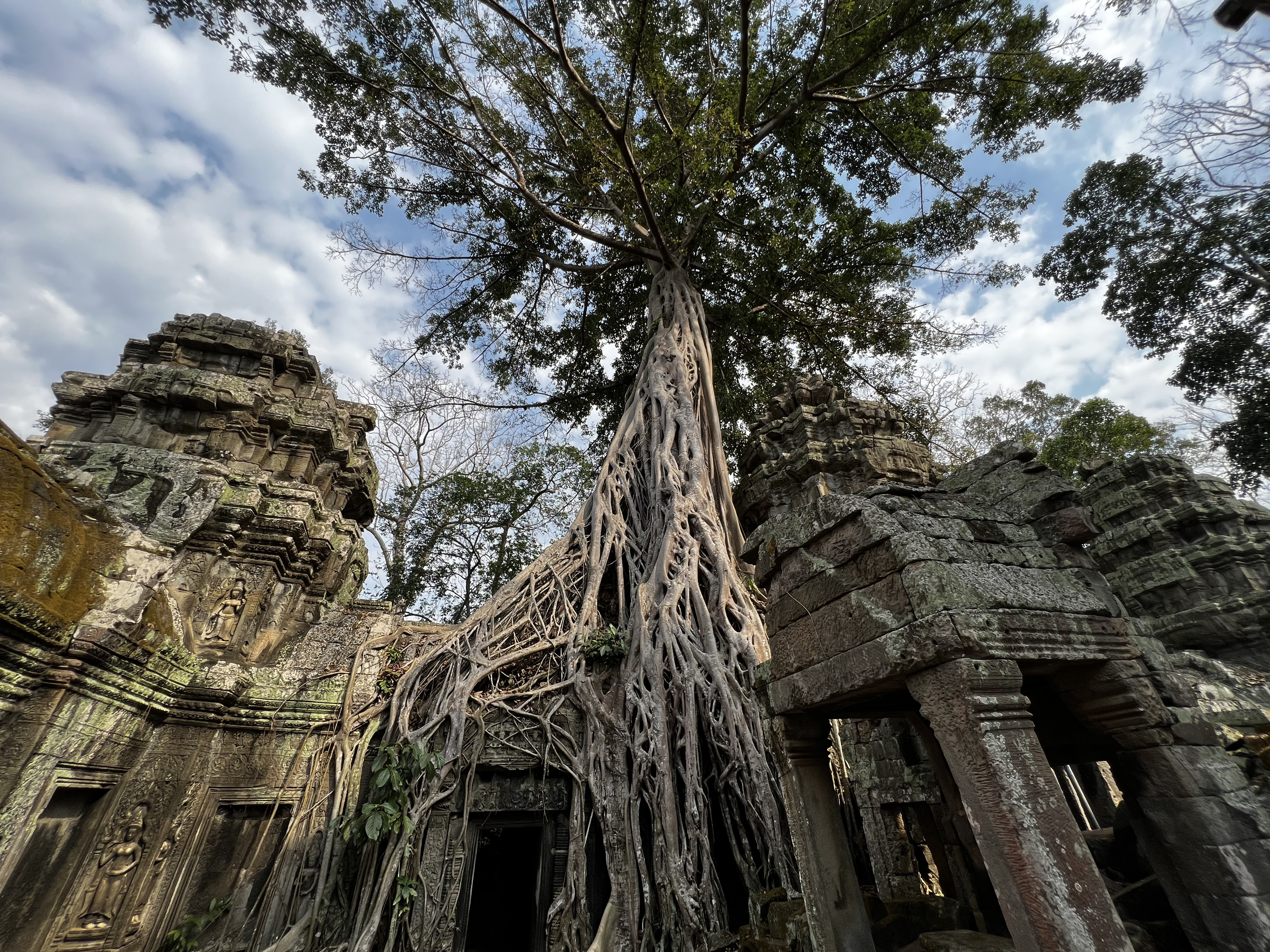 Picture Cambodia Siem Reap Ta Prohm 2023-01 59 - Center Ta Prohm