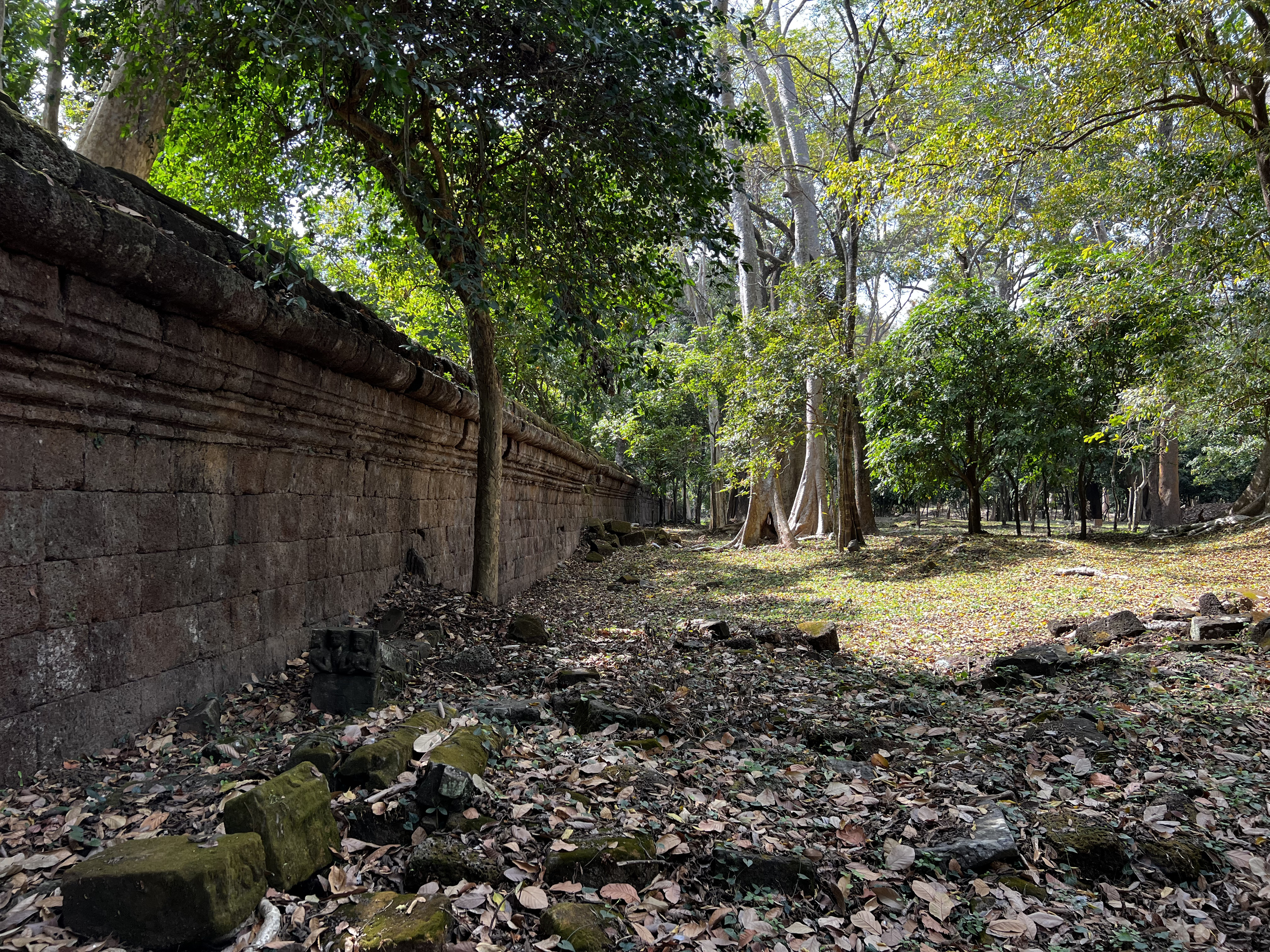 Picture Cambodia Siem Reap Angkor Thom 2023-01 23 - Journey Angkor Thom