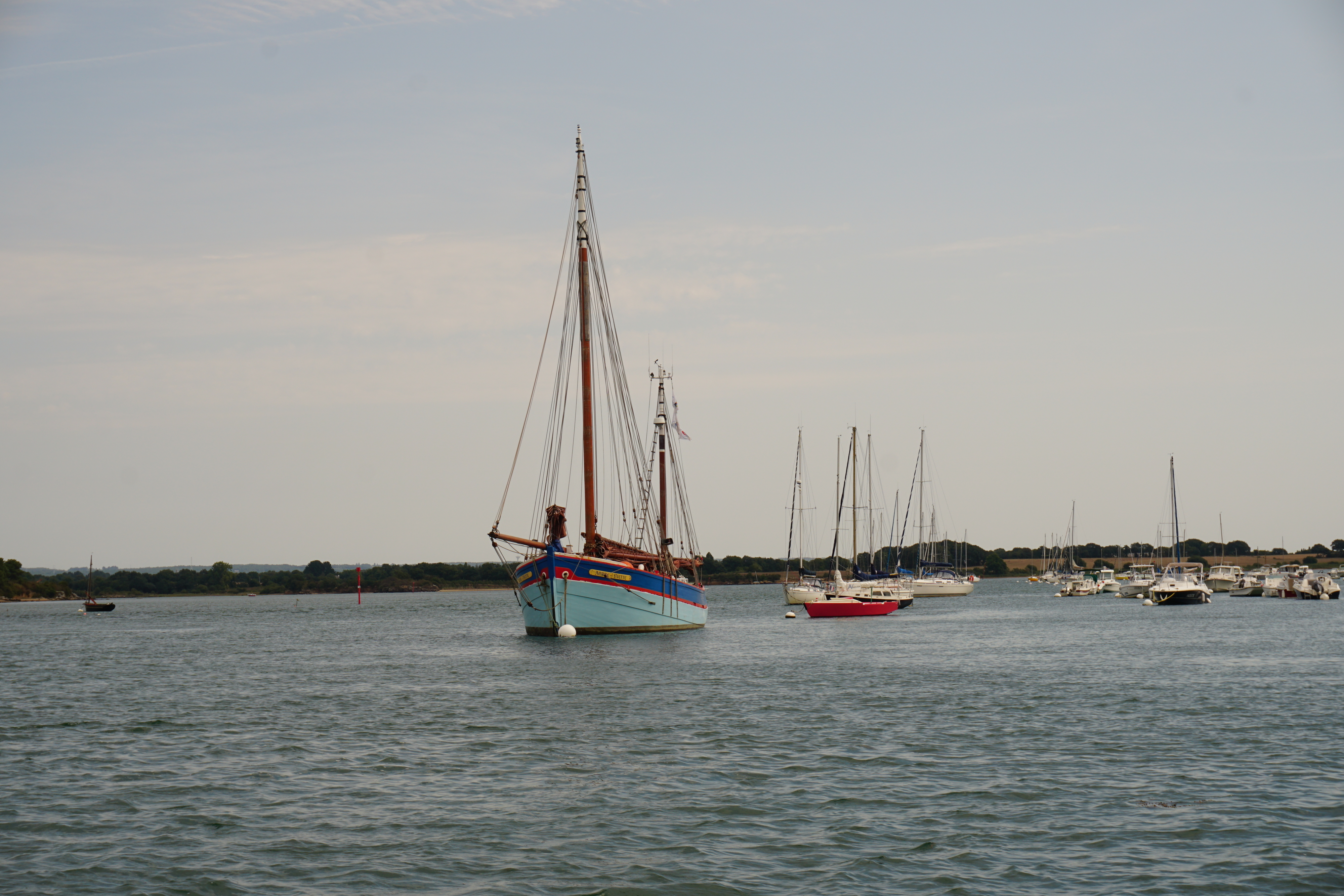 Picture France Golfe du Morbihan 2016-08 18 - Discovery Golfe du Morbihan