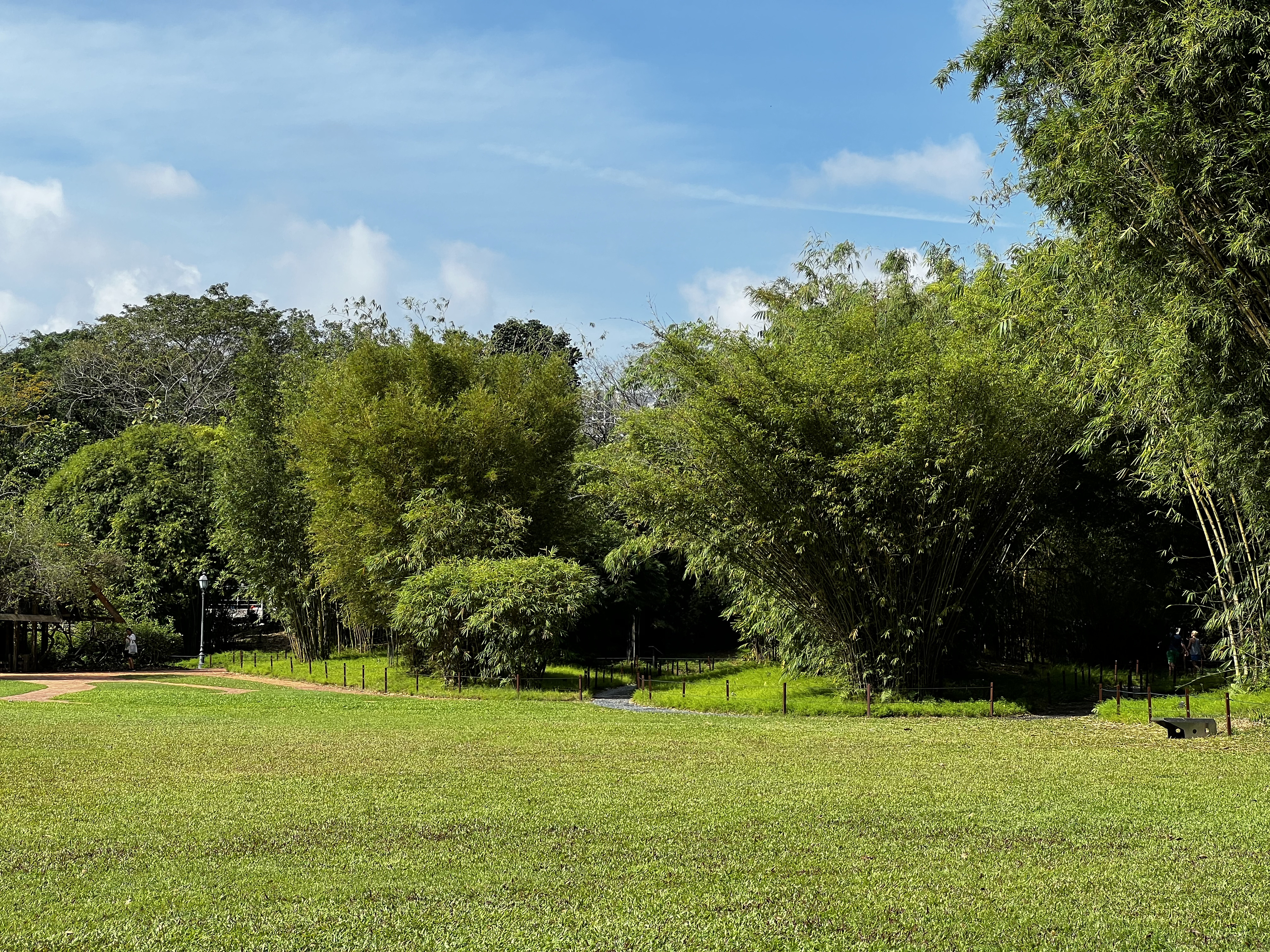 Picture Singapore Singapore Botanic Gardens 2023-01 2 - Journey Singapore Botanic Gardens