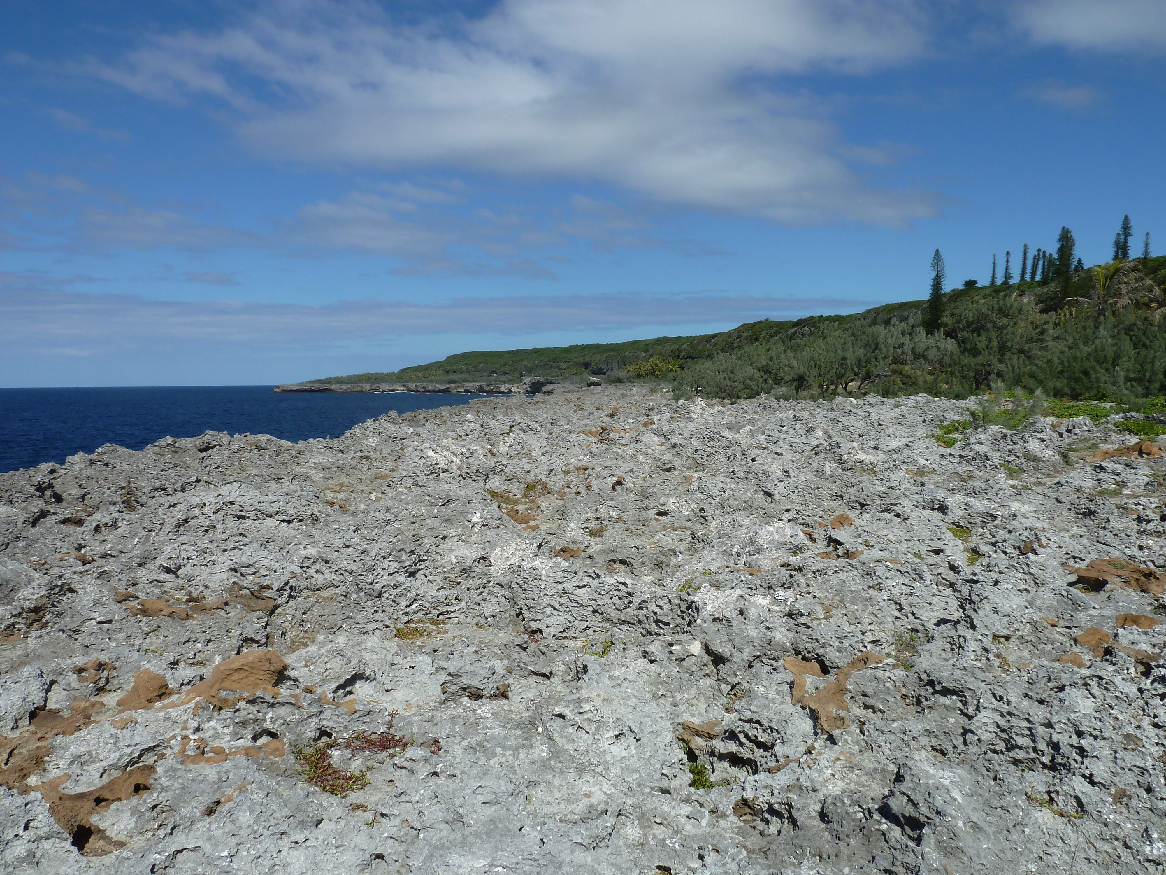 Picture New Caledonia Lifou Xodre 2010-05 28 - Around Xodre