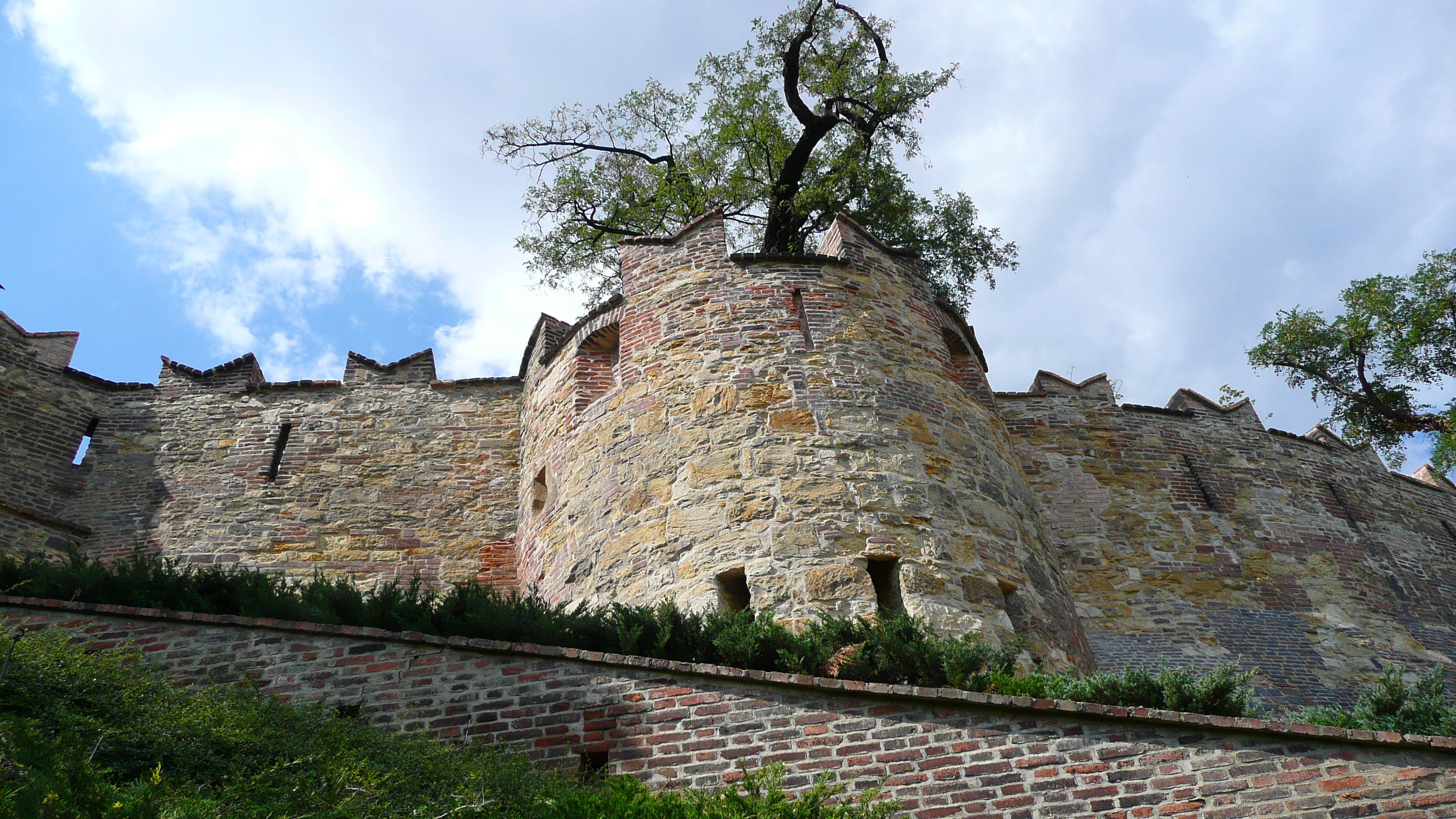 Picture Czech Republic Prague Prague Castle 2007-07 75 - Tours Prague Castle