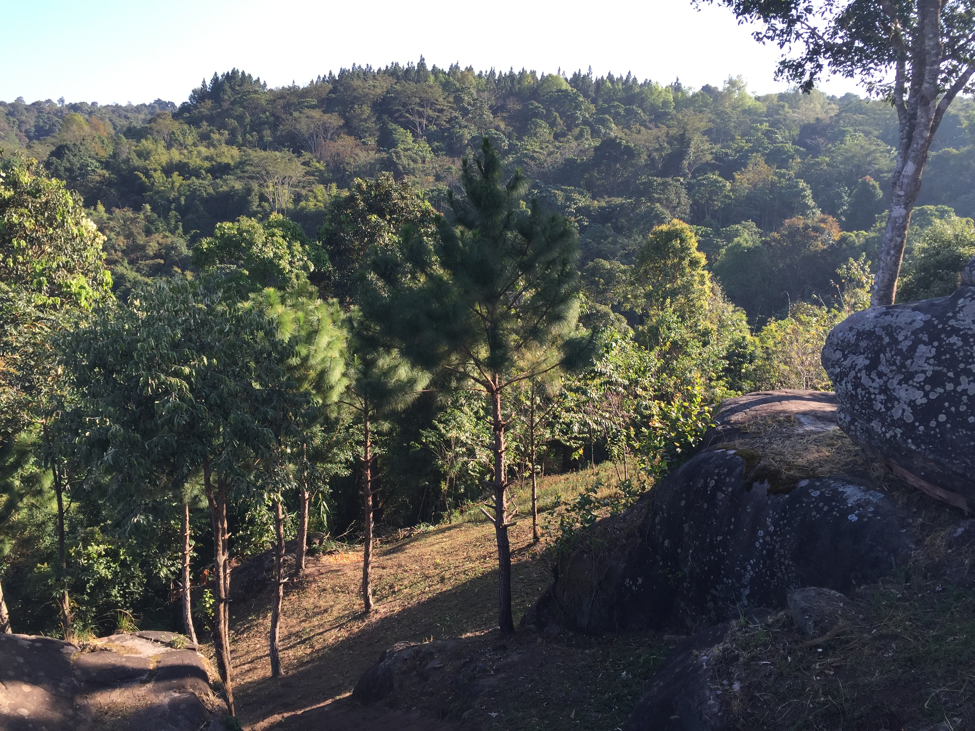 Picture Thailand Phu Hin Rong Kla National Park 2014-12 268 - Recreation Phu Hin Rong Kla National Park