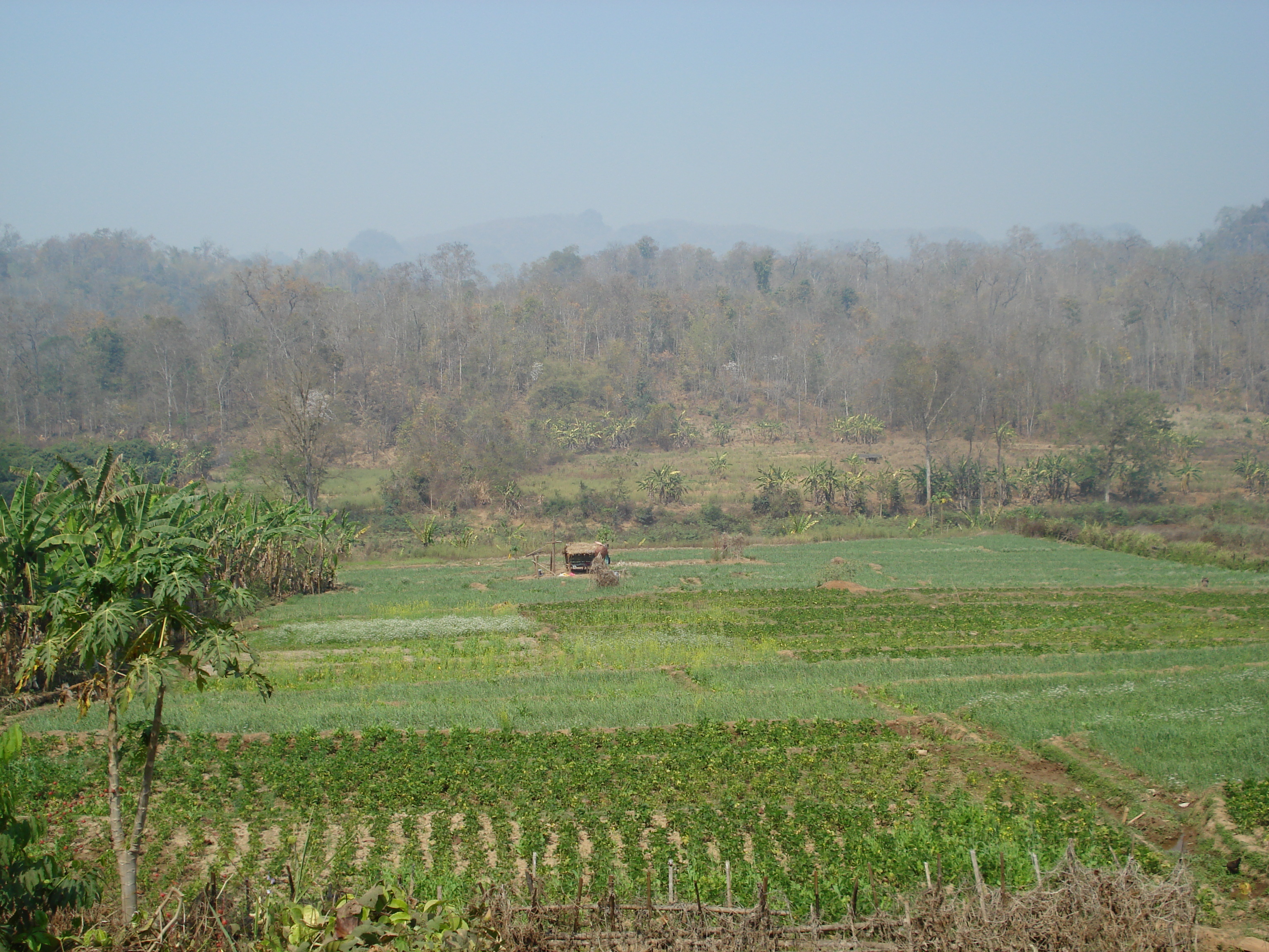 Picture Thailand Pang Mapha 2007-02 60 - Tours Pang Mapha