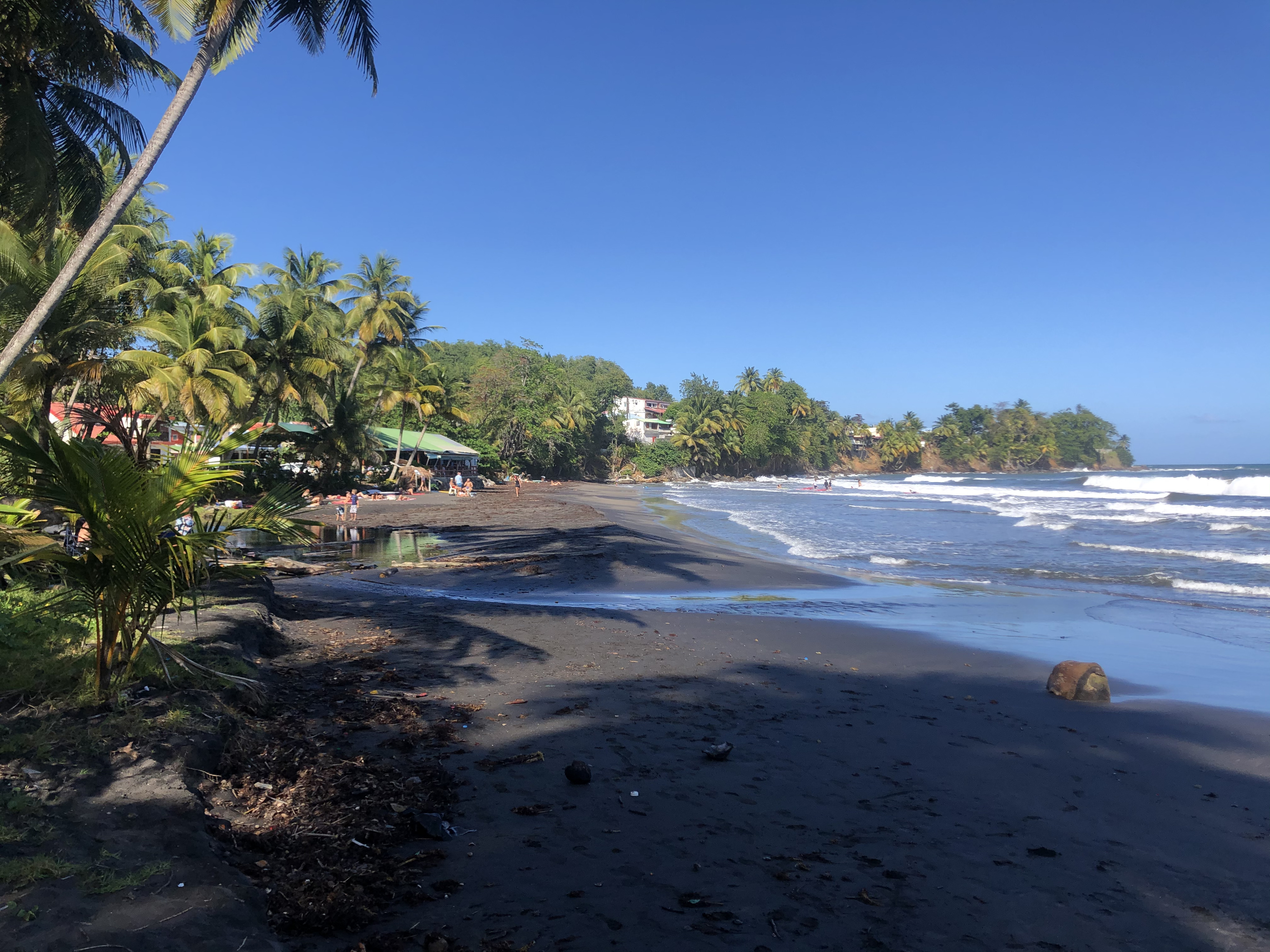 Picture Guadeloupe Bananier 2021-02 14 - Tour Bananier