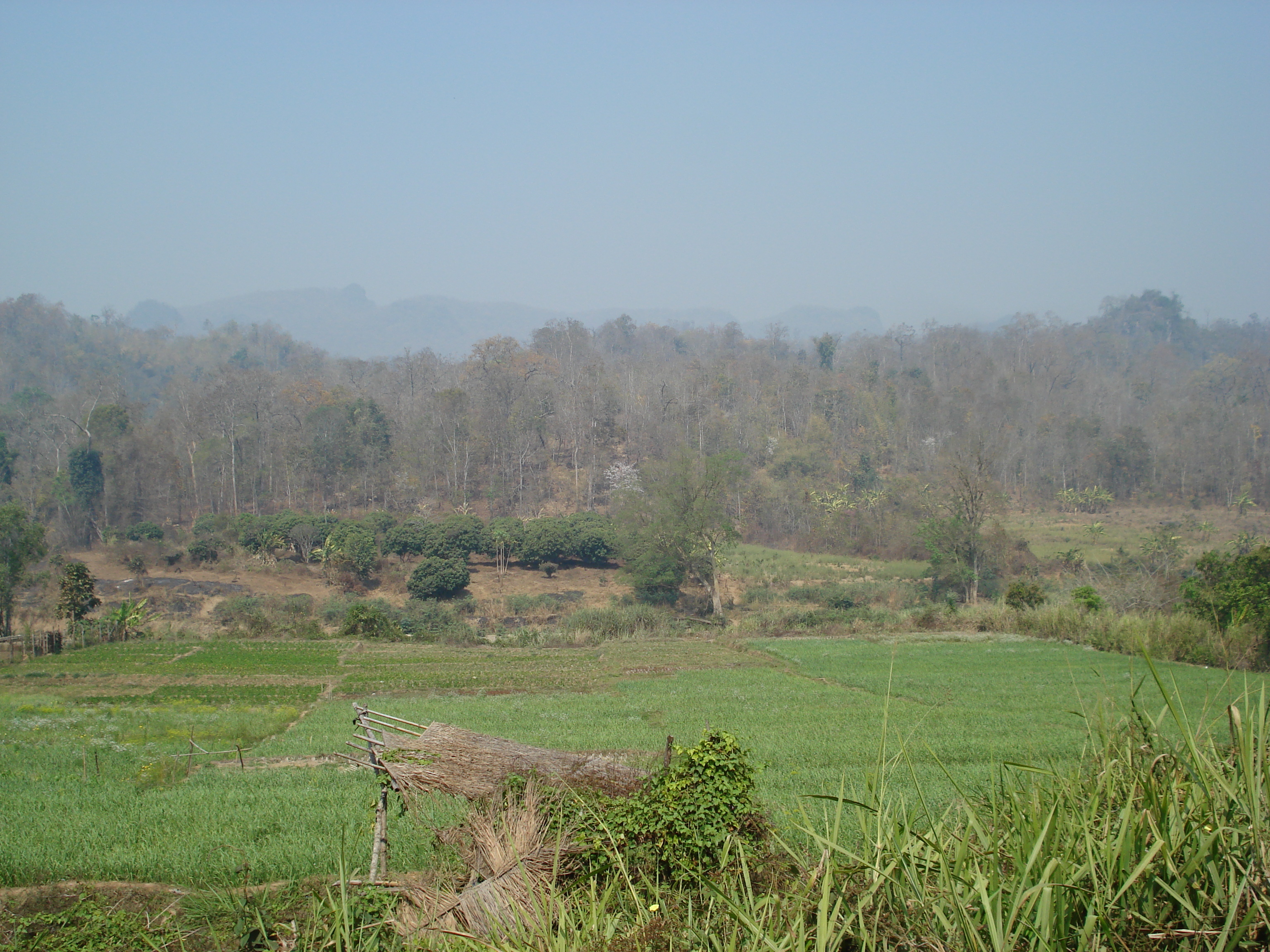 Picture Thailand Pang Mapha 2007-02 73 - History Pang Mapha