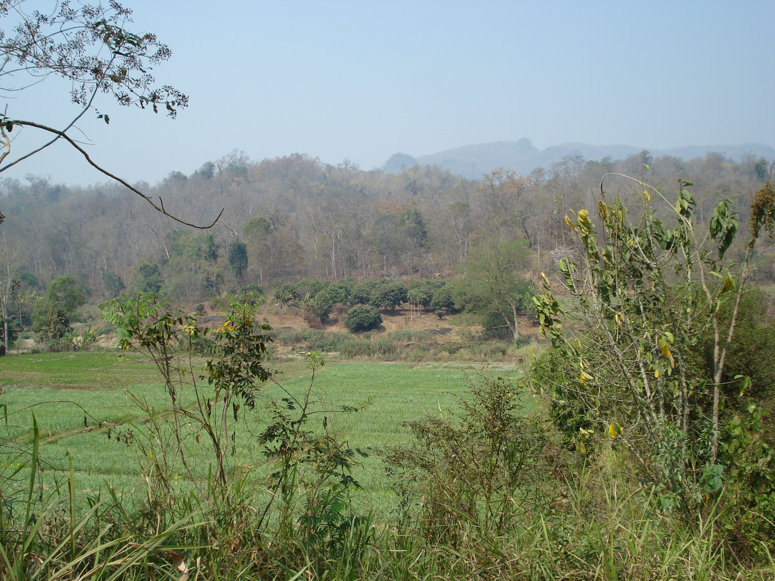 Picture Thailand Pang Mapha 2007-02 51 - Center Pang Mapha