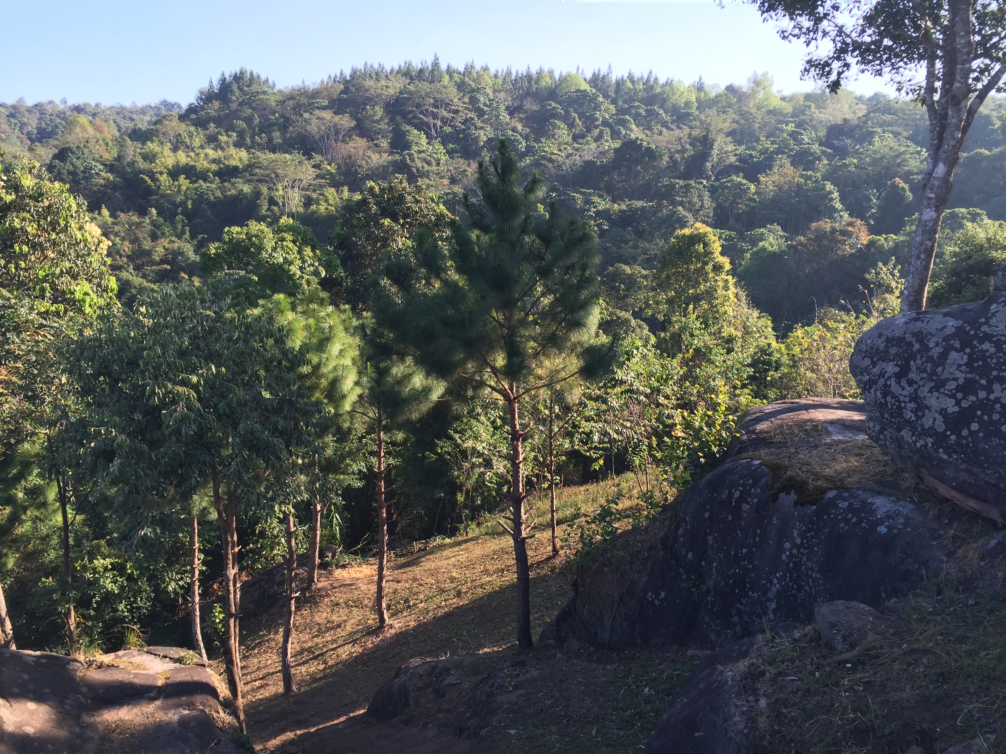 Picture Thailand Phu Hin Rong Kla National Park 2014-12 250 - Center Phu Hin Rong Kla National Park