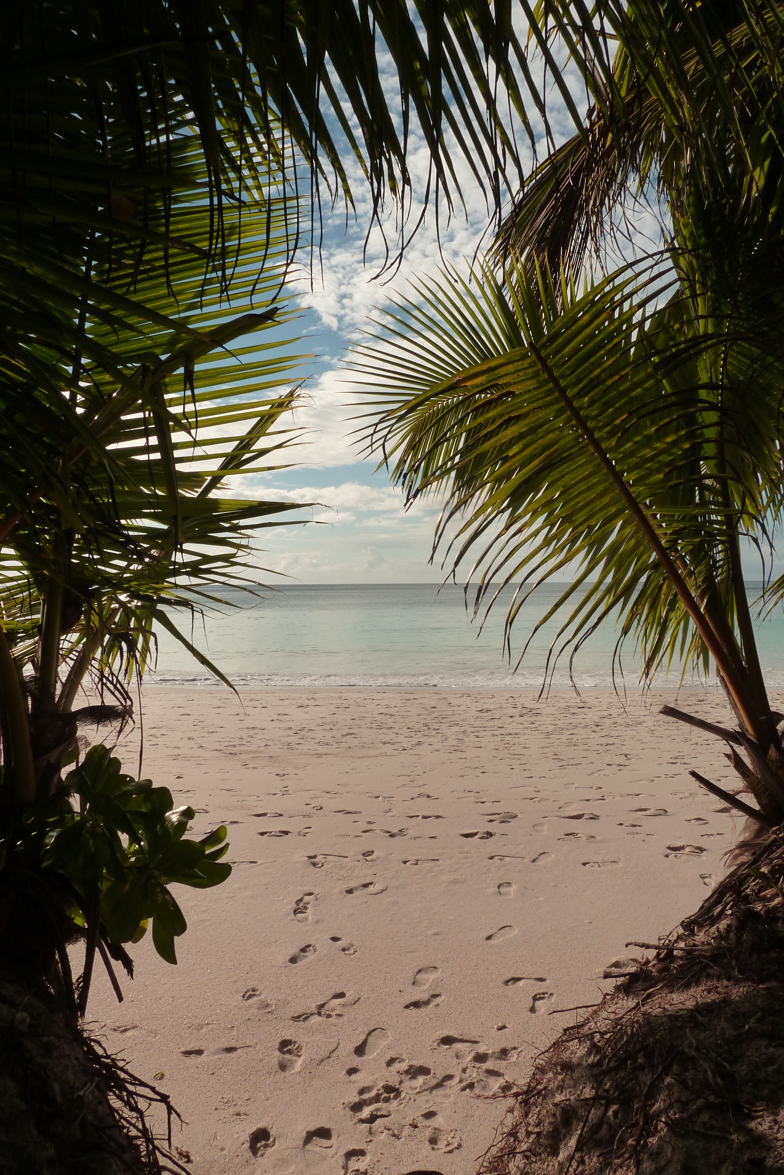 Picture Seychelles Anse Lazio 2011-10 34 - History Anse Lazio