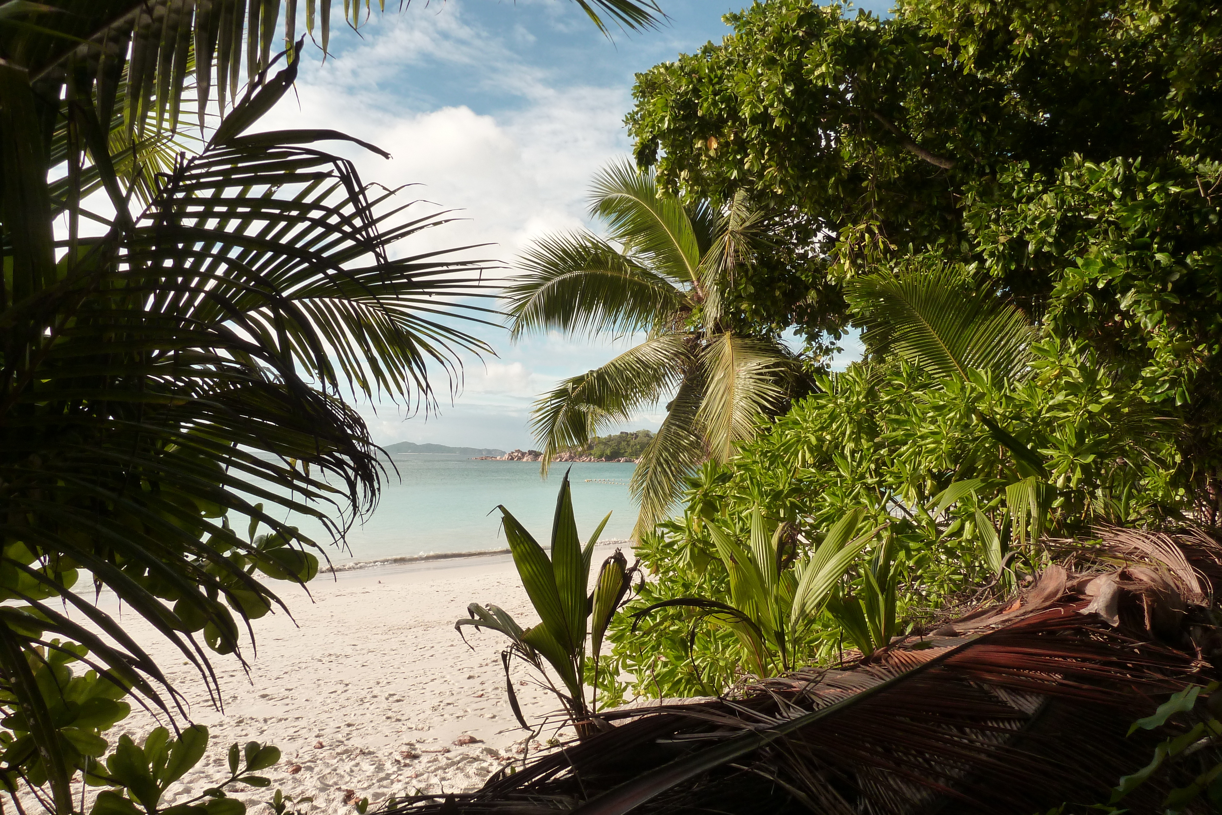 Picture Seychelles Anse Lazio 2011-10 47 - Center Anse Lazio