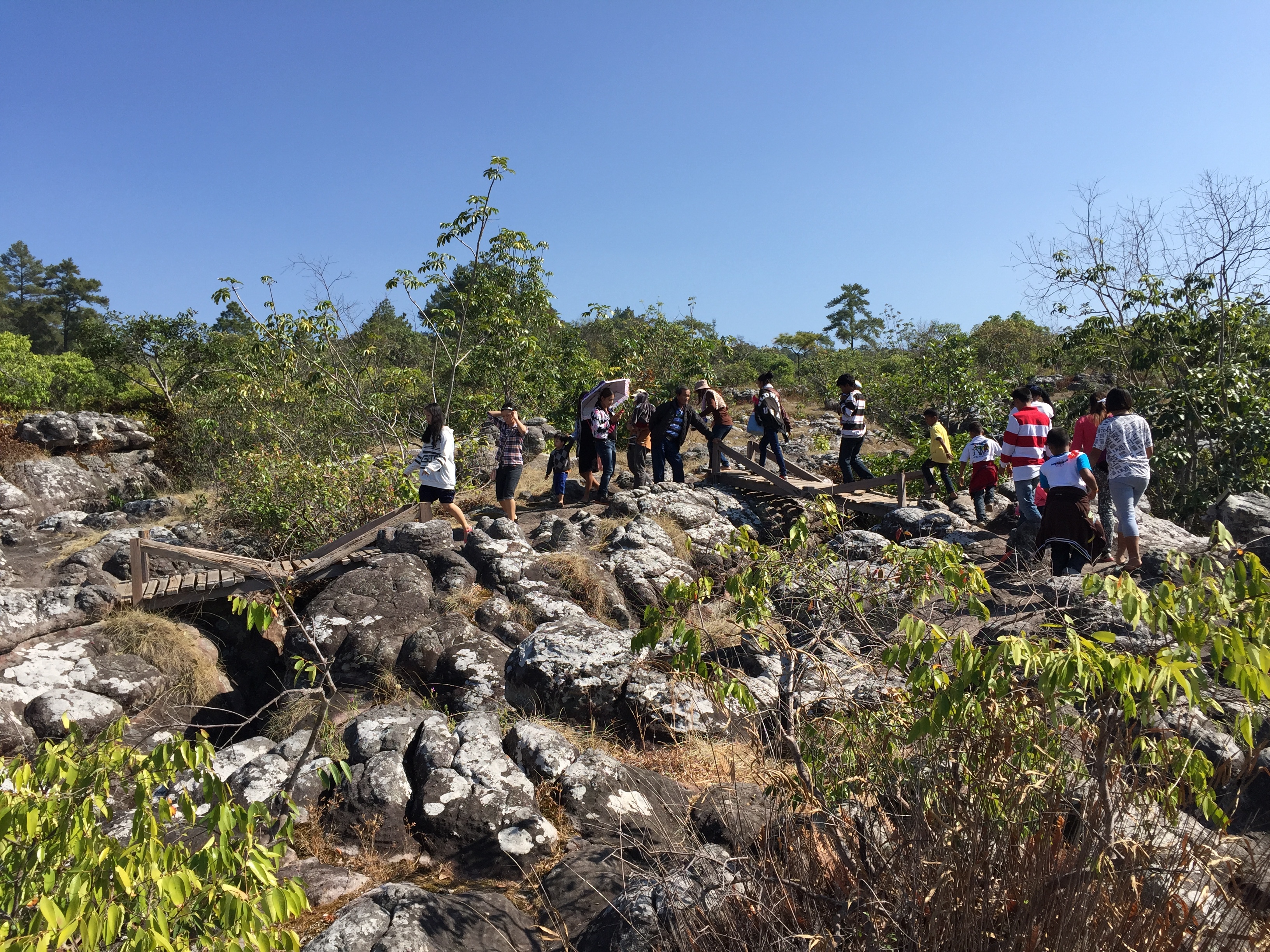 Picture Thailand Phu Hin Rong Kla National Park 2014-12 330 - Journey Phu Hin Rong Kla National Park