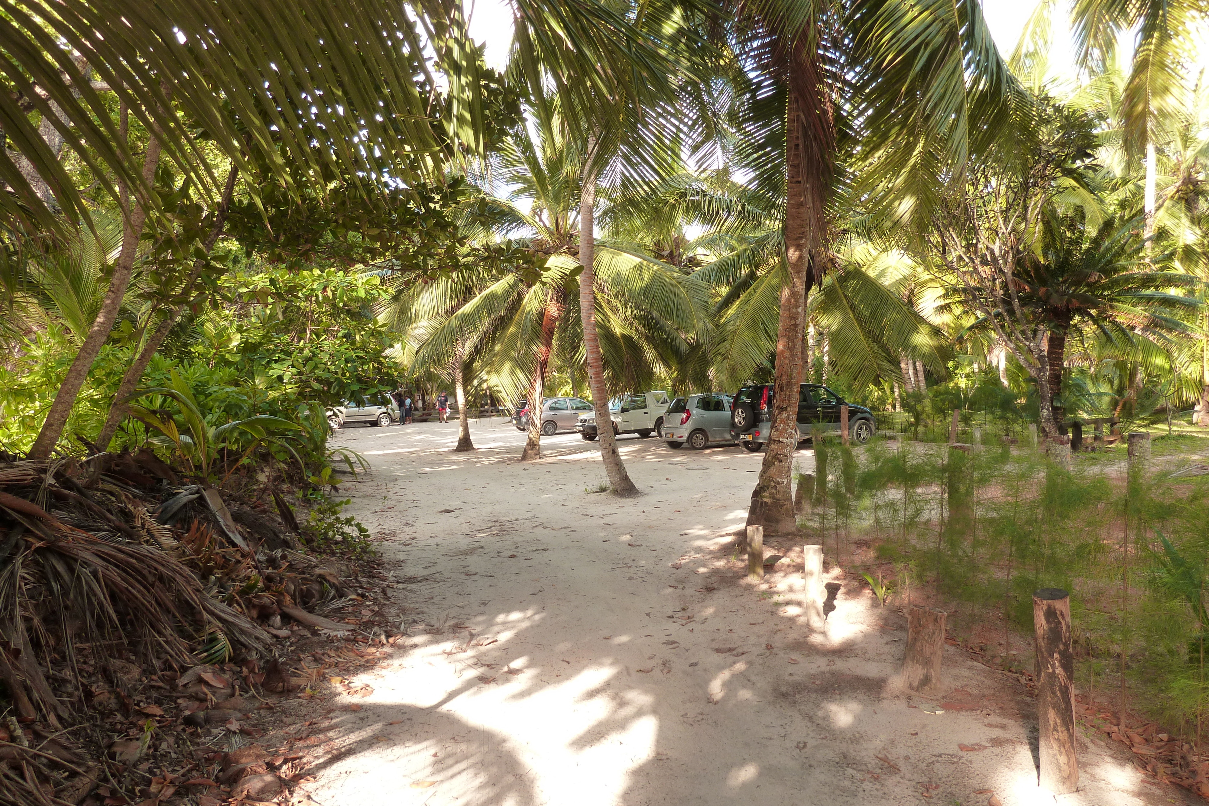 Picture Seychelles Anse Lazio 2011-10 48 - Tours Anse Lazio