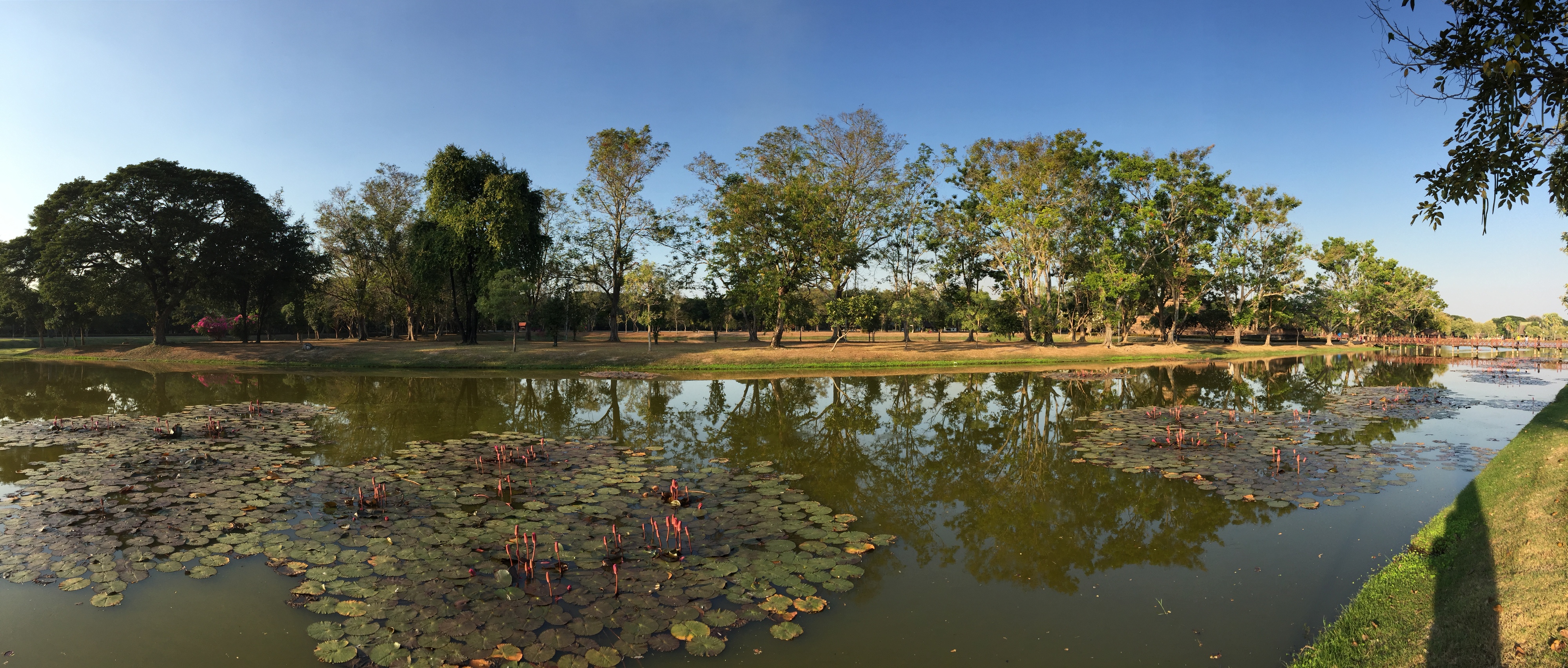 Picture Thailand Sukhothai 2014-12 66 - Journey Sukhothai