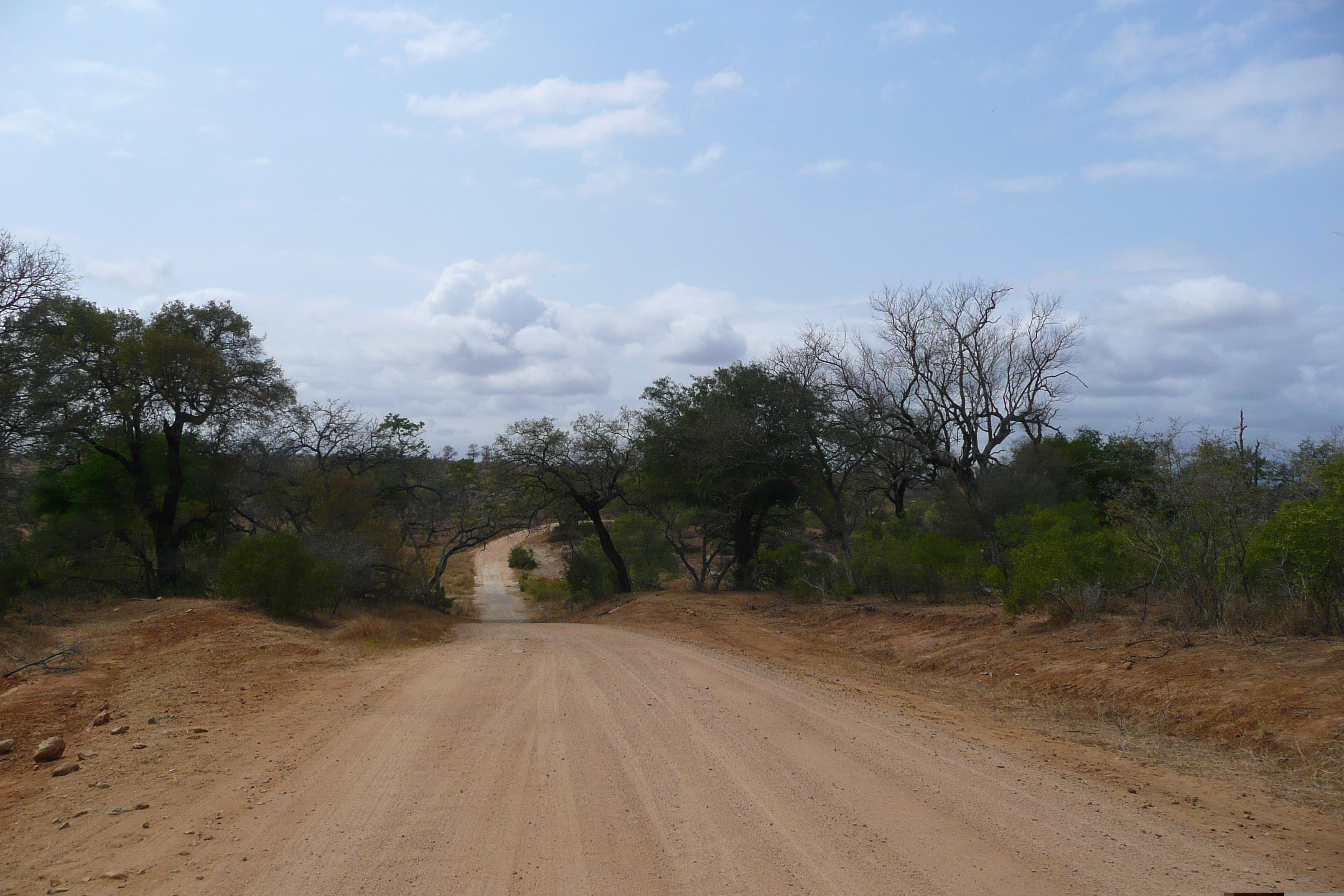 Picture South Africa Kruger National Park Crocodile River road 2008-09 56 - Journey Crocodile River road