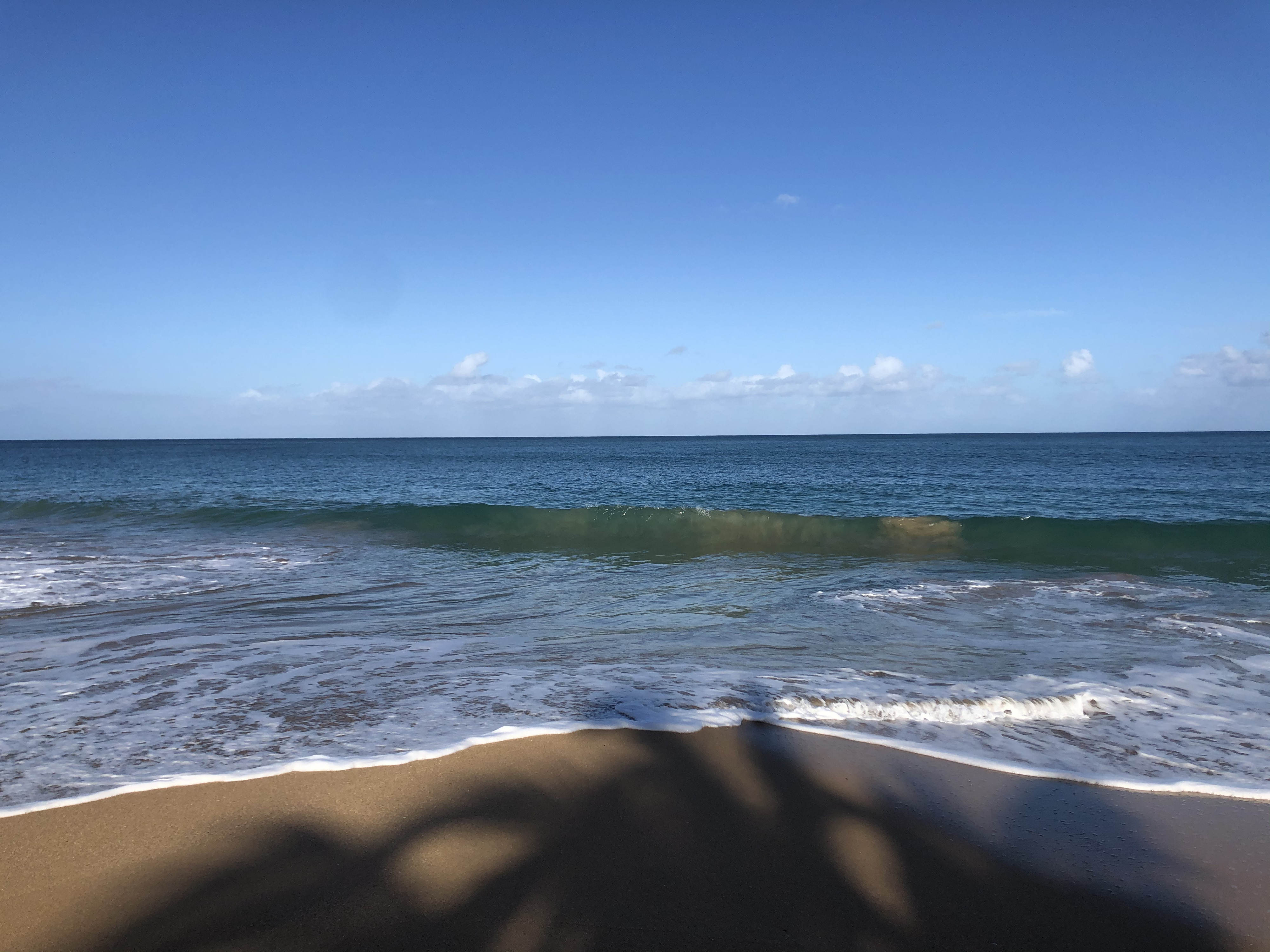 Picture Guadeloupe La Perle Beach 2021-02 99 - Around La Perle Beach